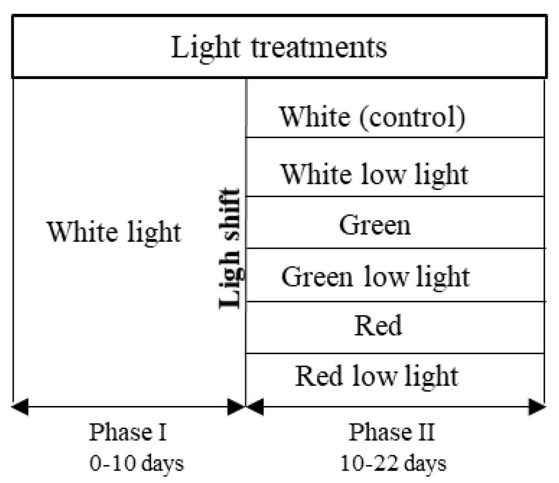 Bioengineering 09 00331 g001