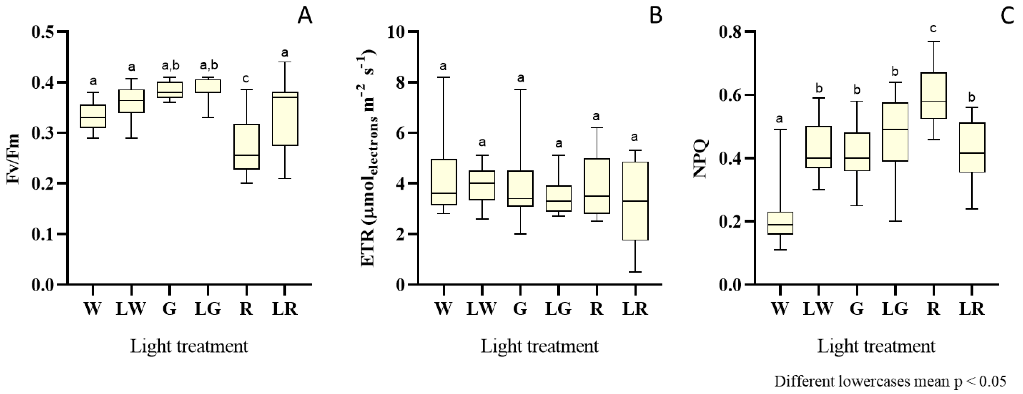 Bioengineering 09 00331 g004