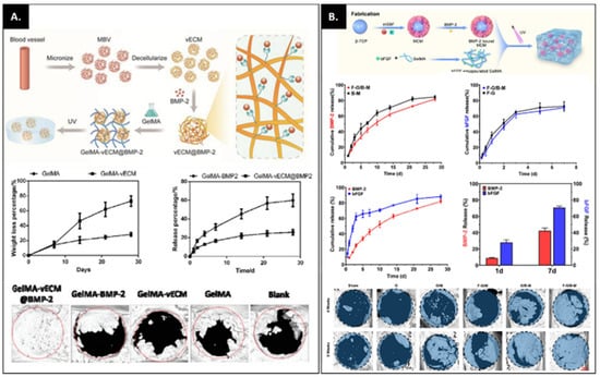Bioengineering 09 00332 g003 550