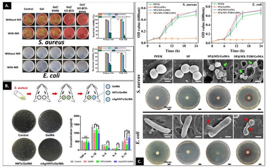 Bioengineering 09 00332 g004 550