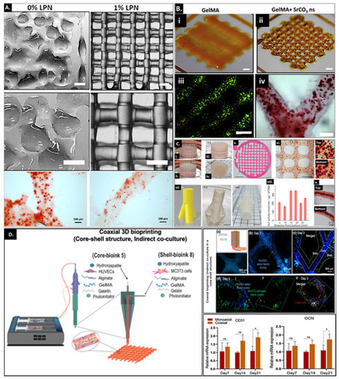 Bioengineering 09 00332 g006 550