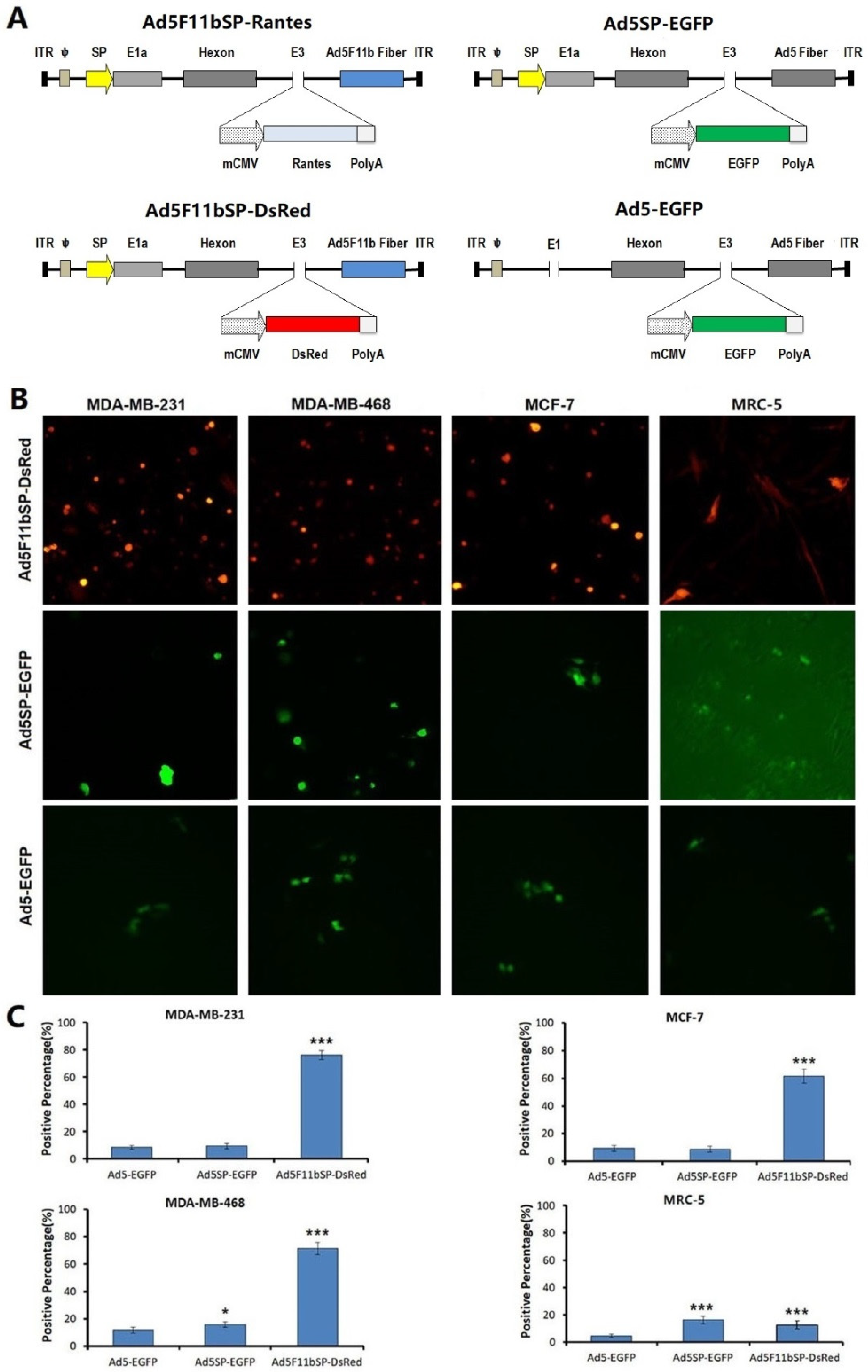 Bioengineering 09 00342 g001