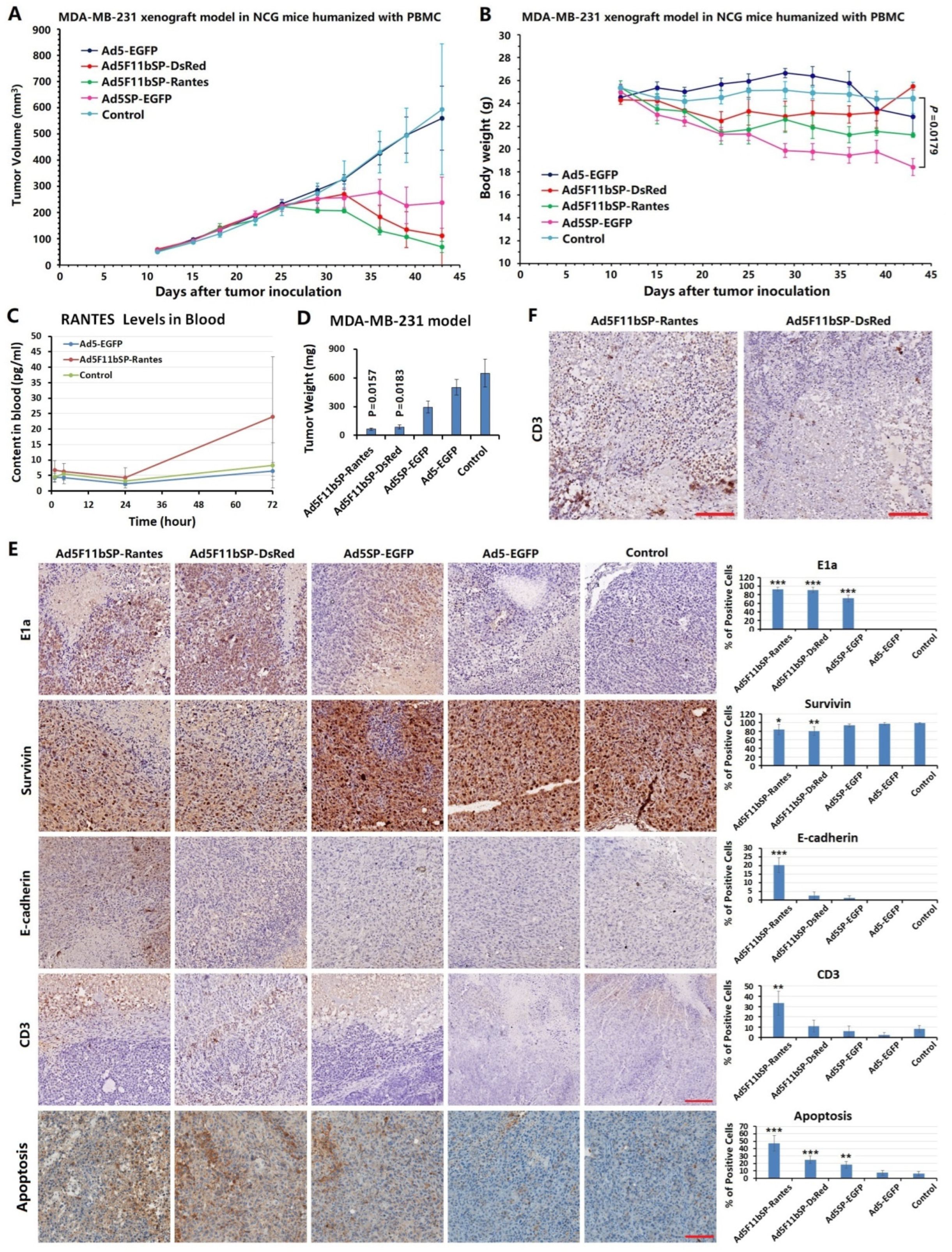 Bioengineering 09 00342 g004
