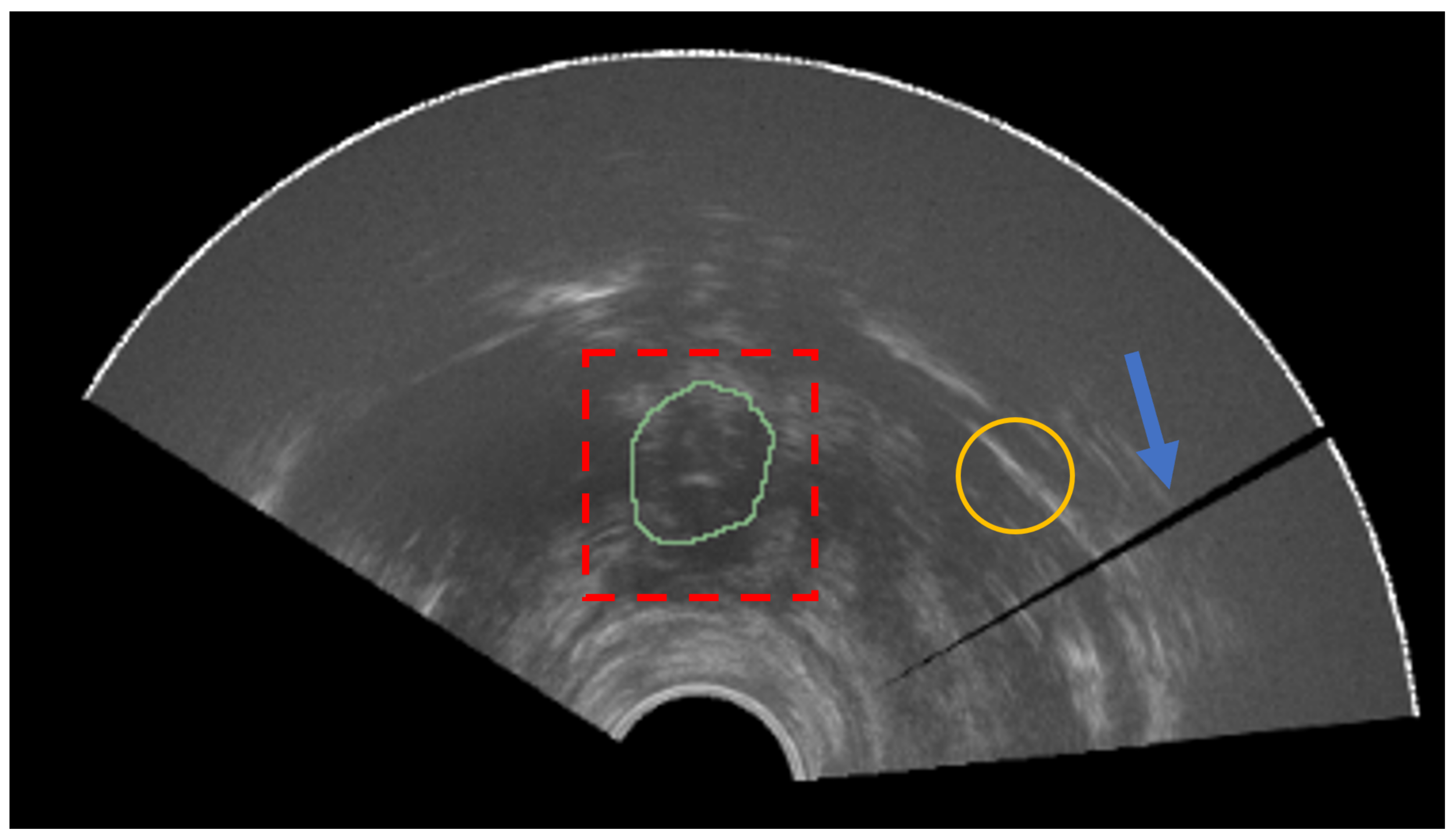 Bioengineering 09 00343 g001
