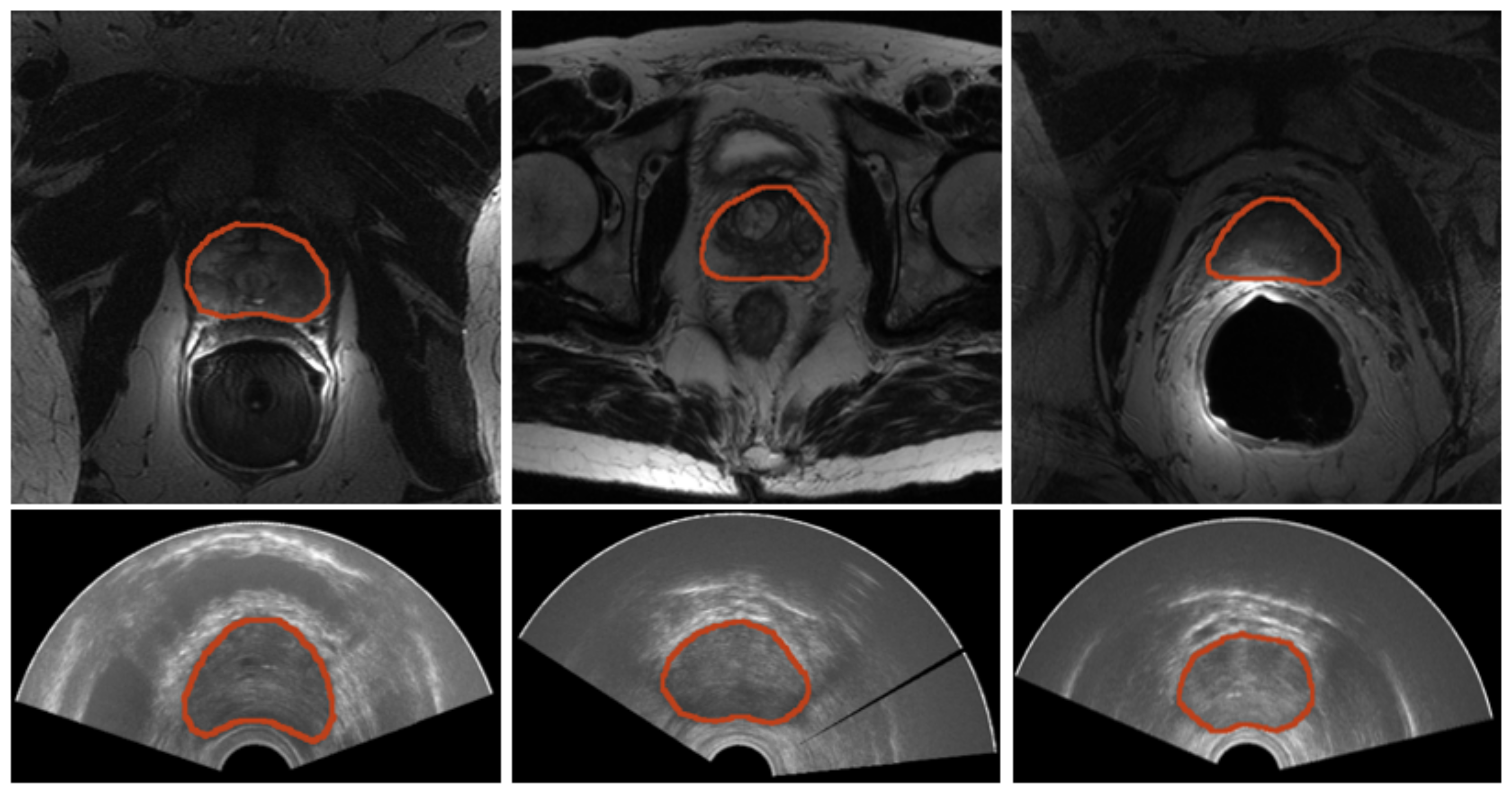 Bioengineering 09 00343 g002