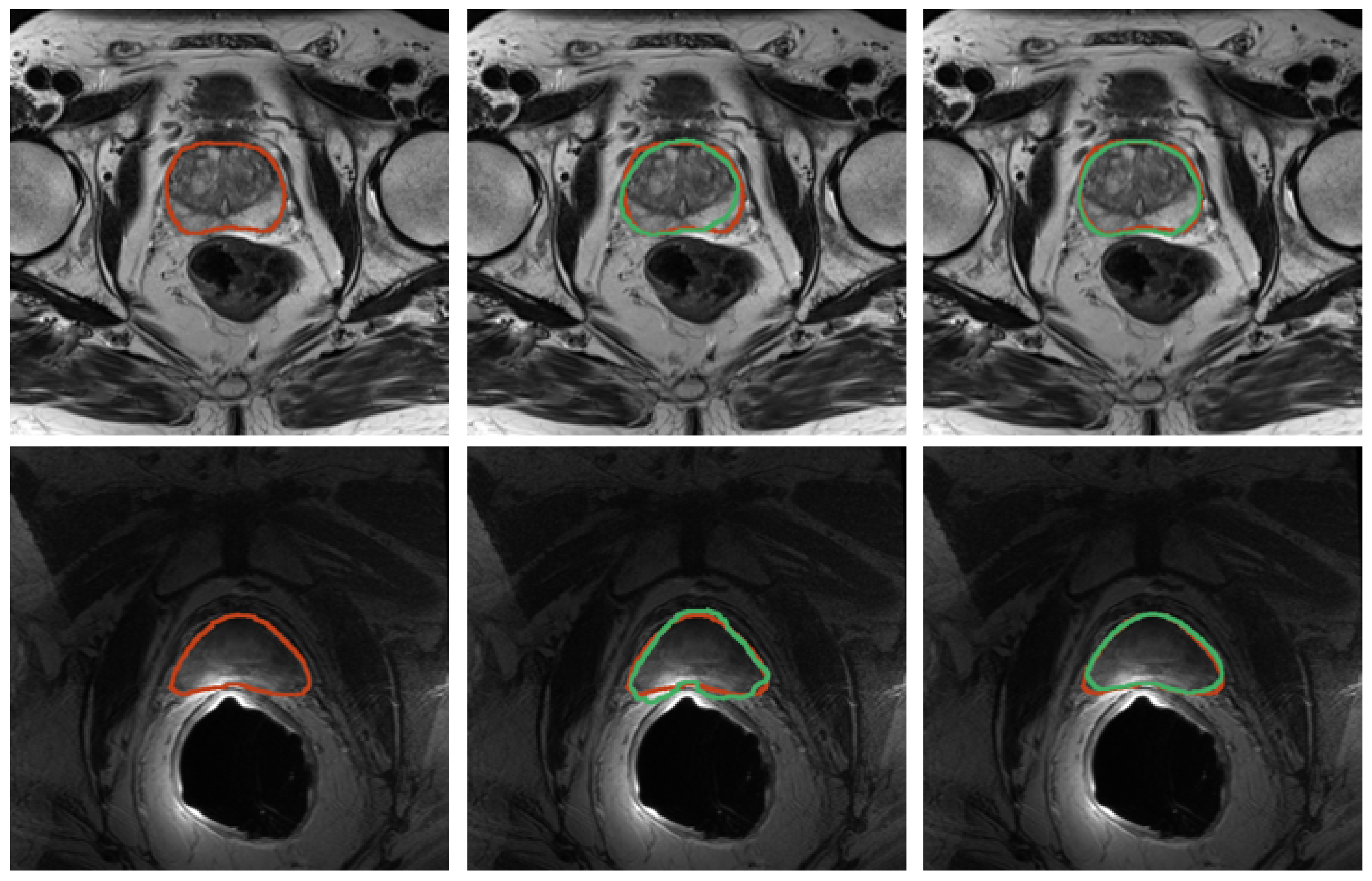 Bioengineering 09 00343 g008