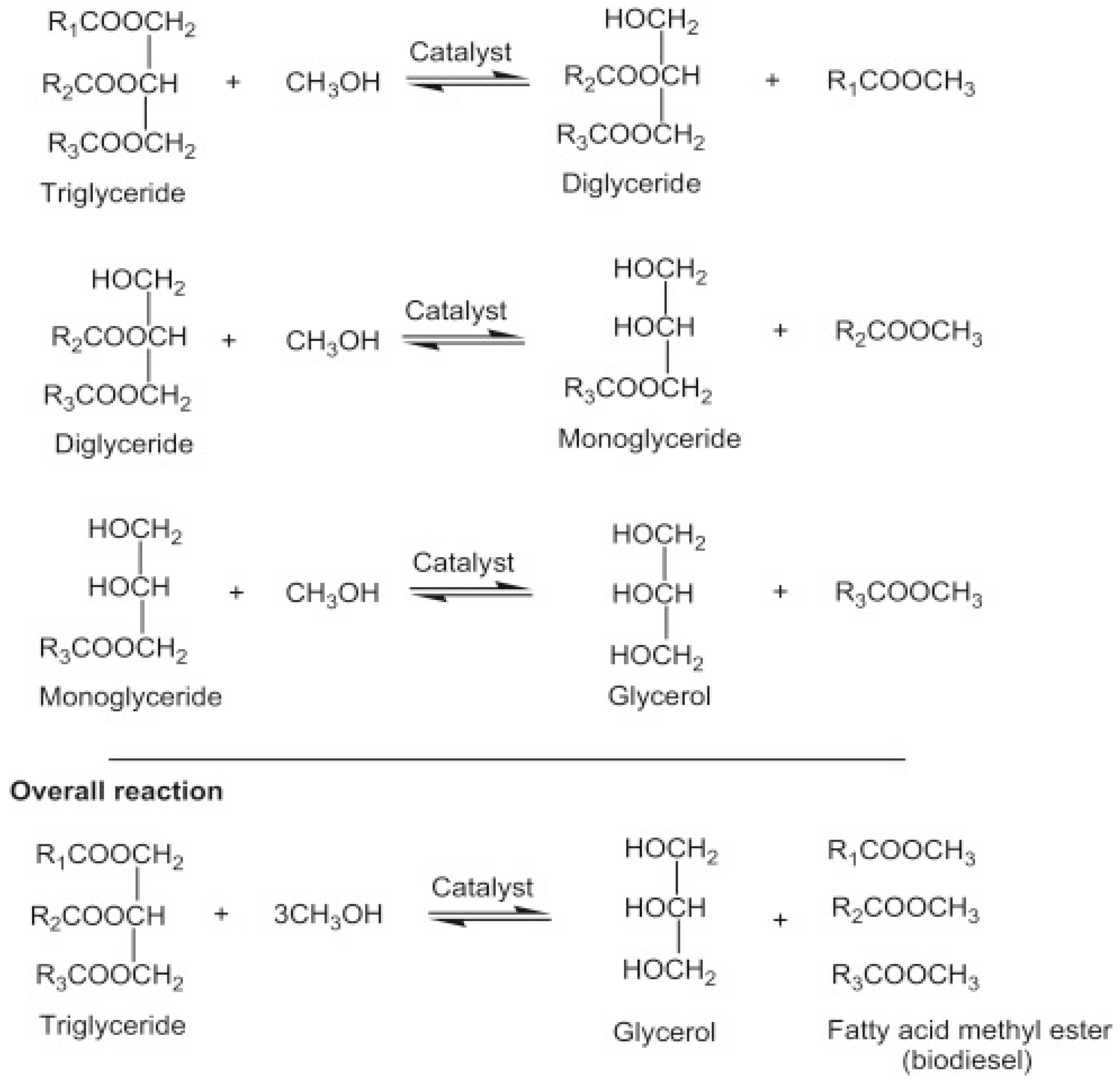 Bioengineering 09 00347 g004