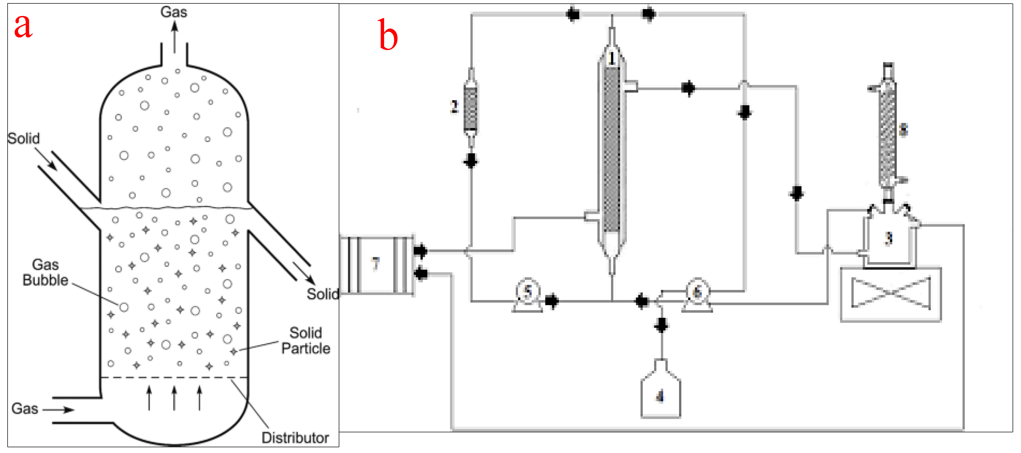 Bioengineering 09 00347 g010