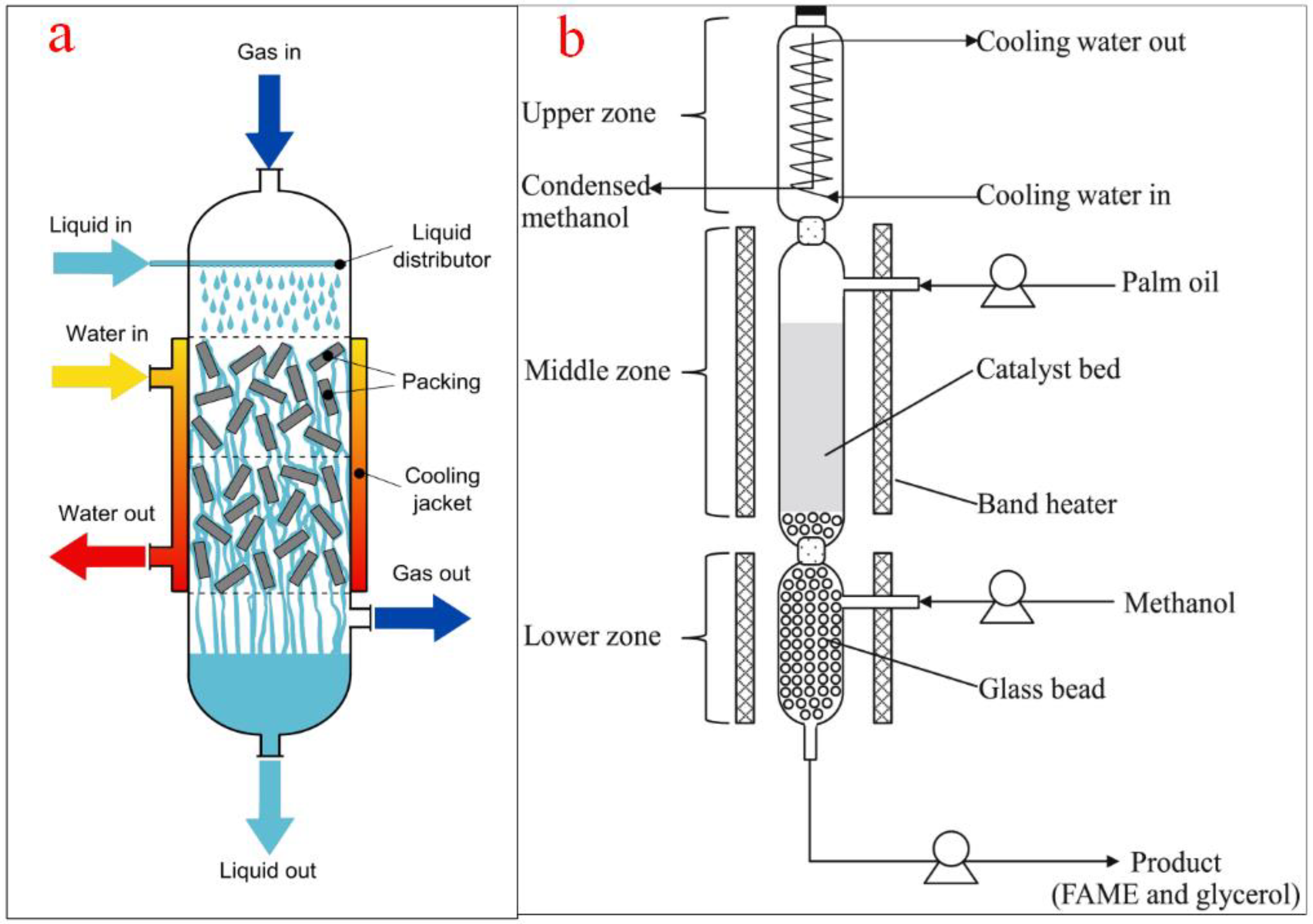 Bioengineering 09 00347 g011
