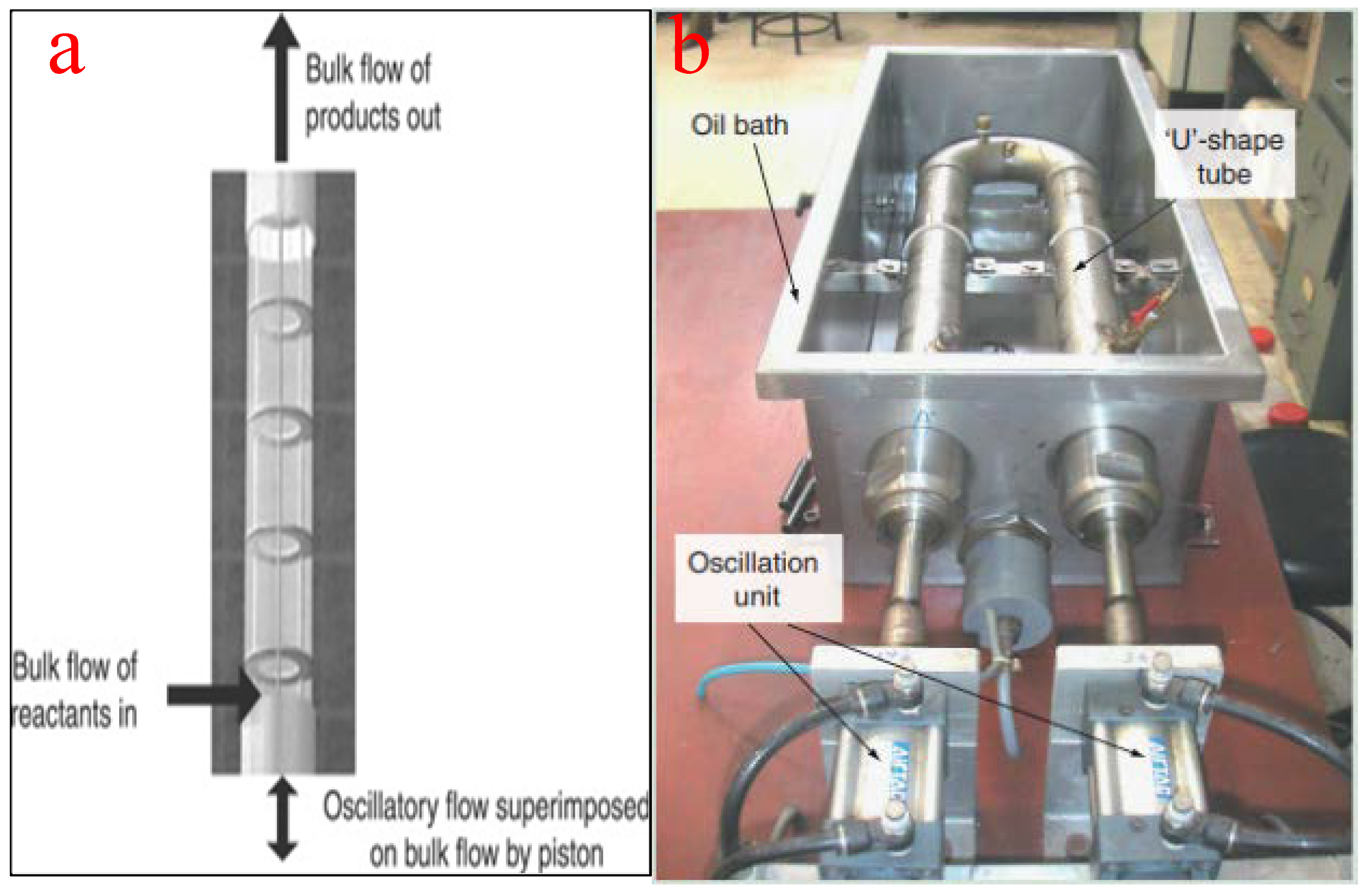 Bioengineering 09 00347 g012