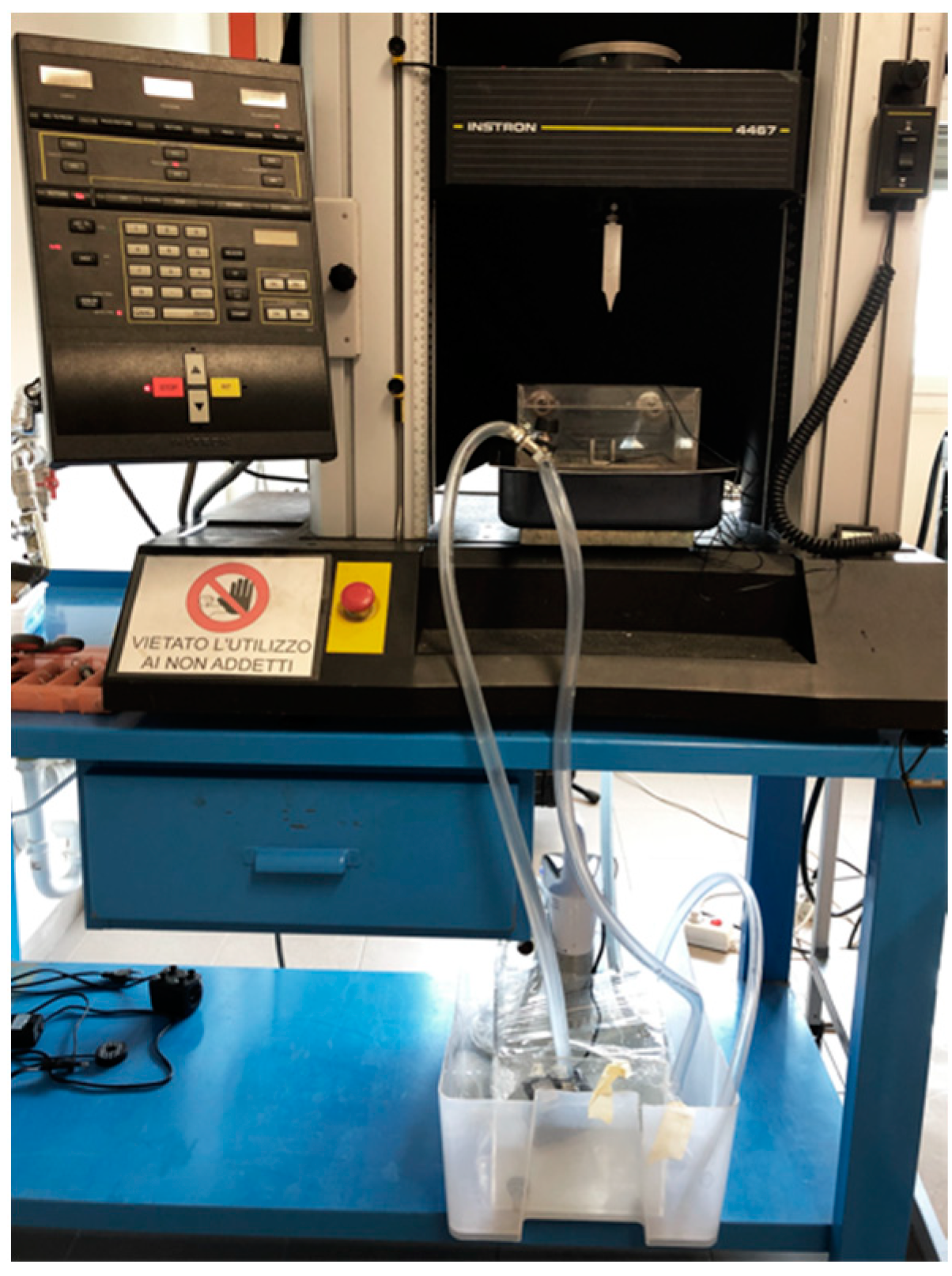 Bioengineering 09 00349 g001 Bioengineering 09 00349 g001