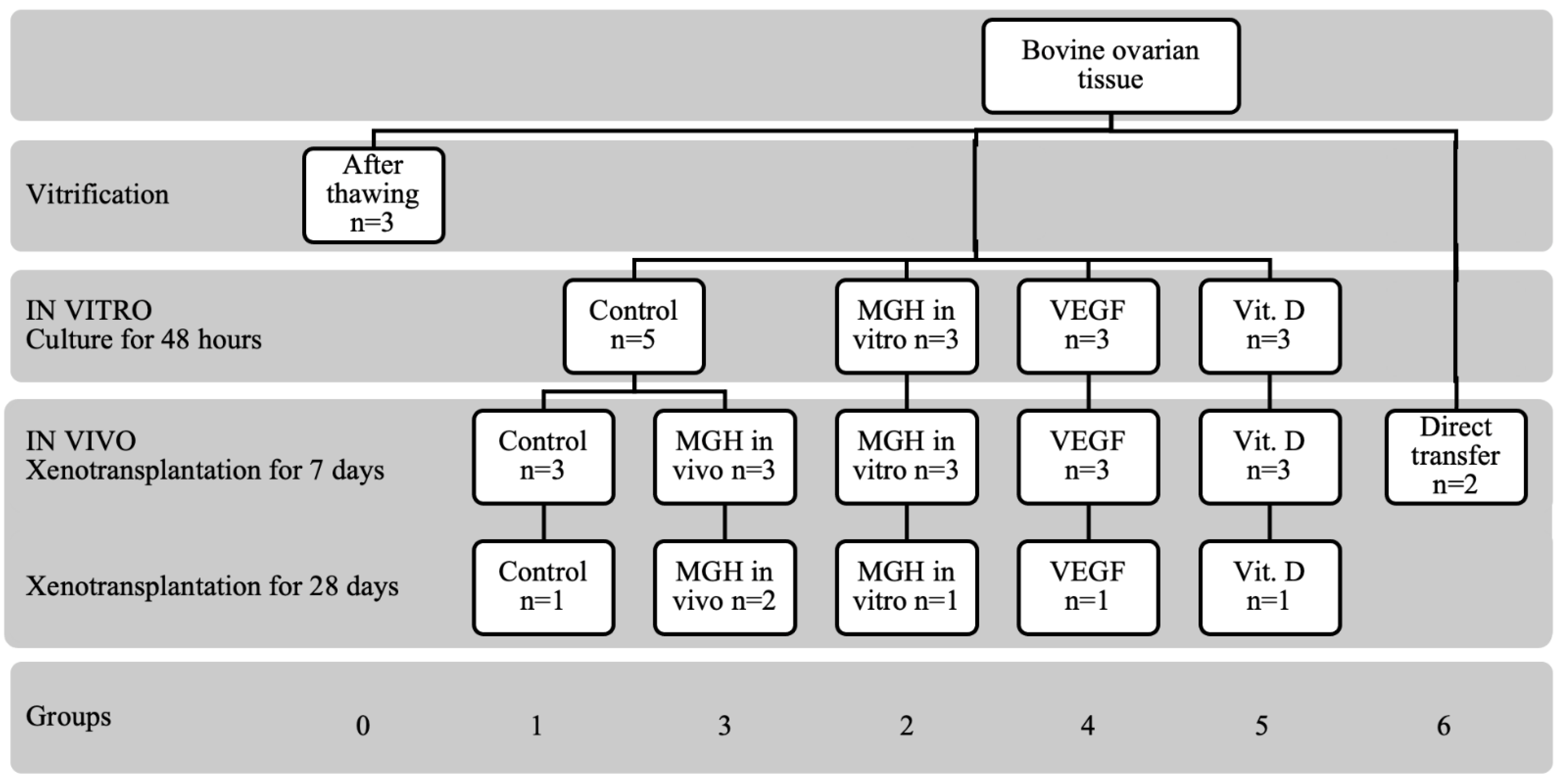 Bioengineering 09 00357 g001