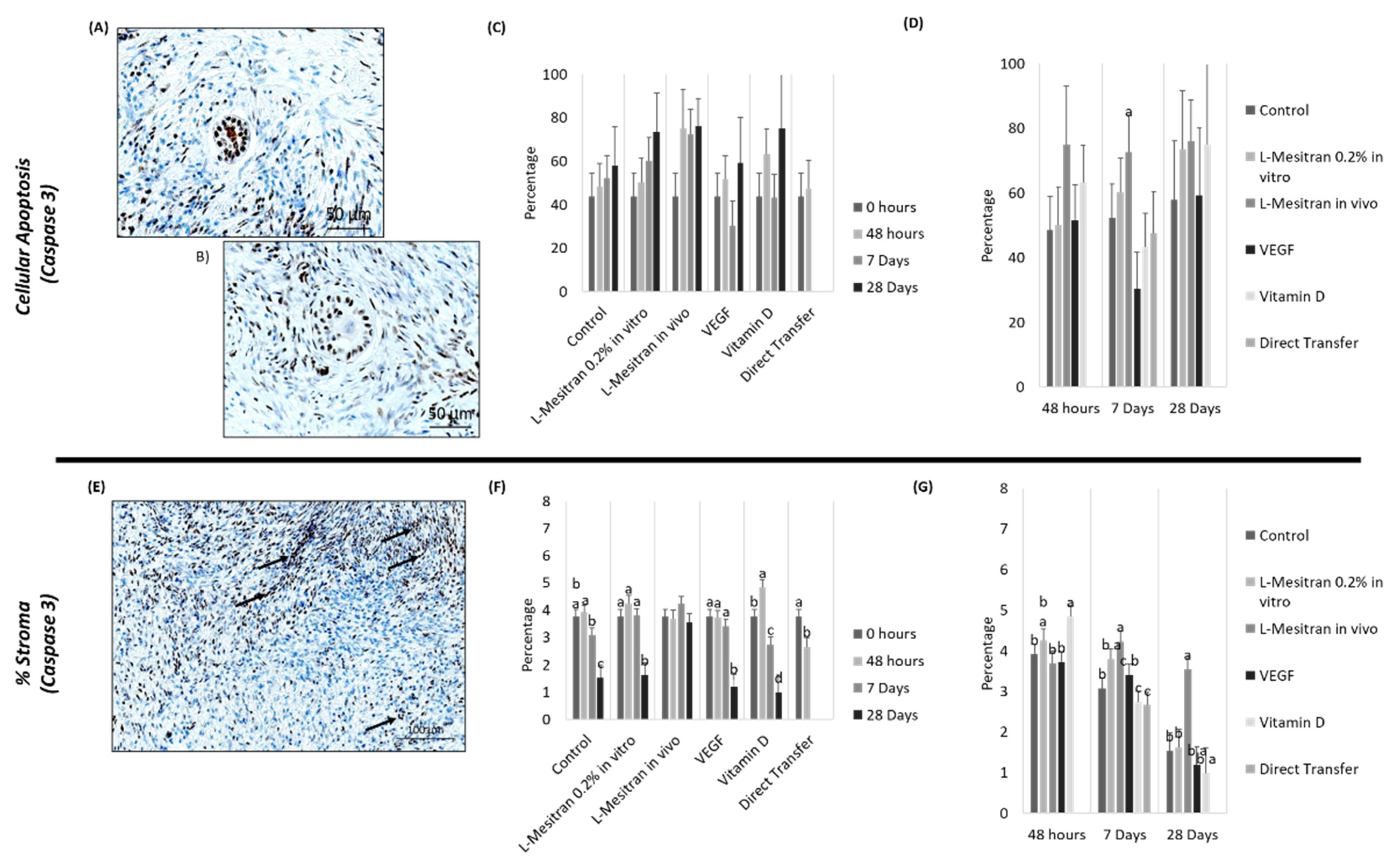 Bioengineering 09 00357 g008