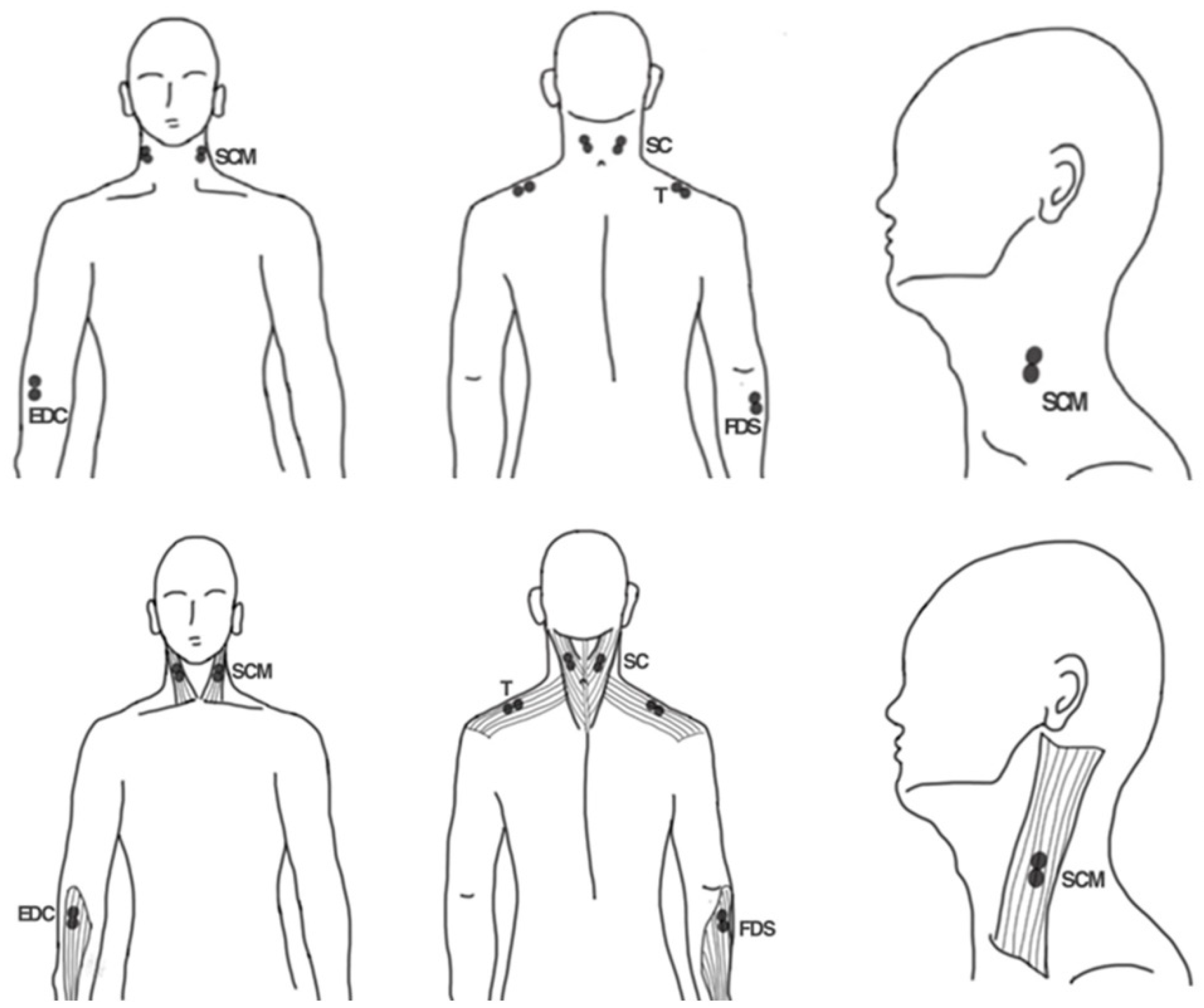 Bioengineering 09 00358 g001 Bioengineering 09 00358 g001