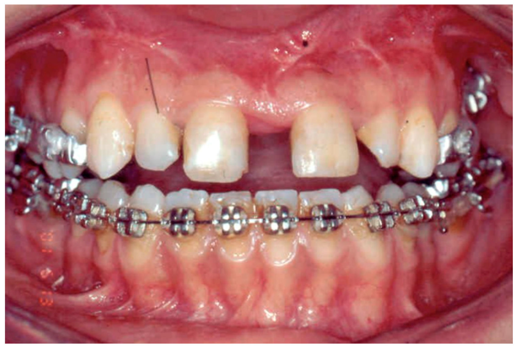 Bioengineering 09 00361 g001