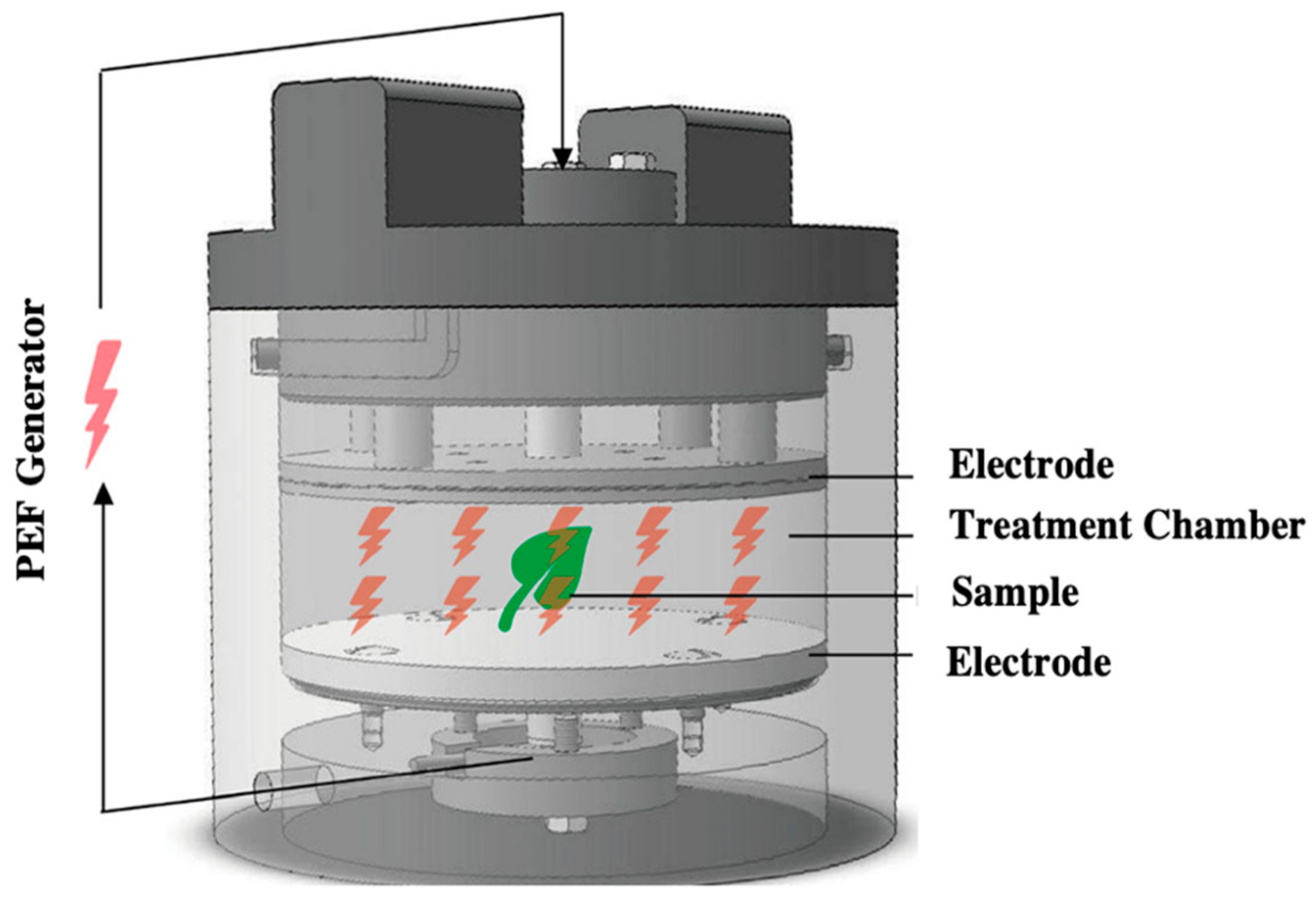 Bioengineering 09 00364 g007 Bioengineering 09 00364 g007
