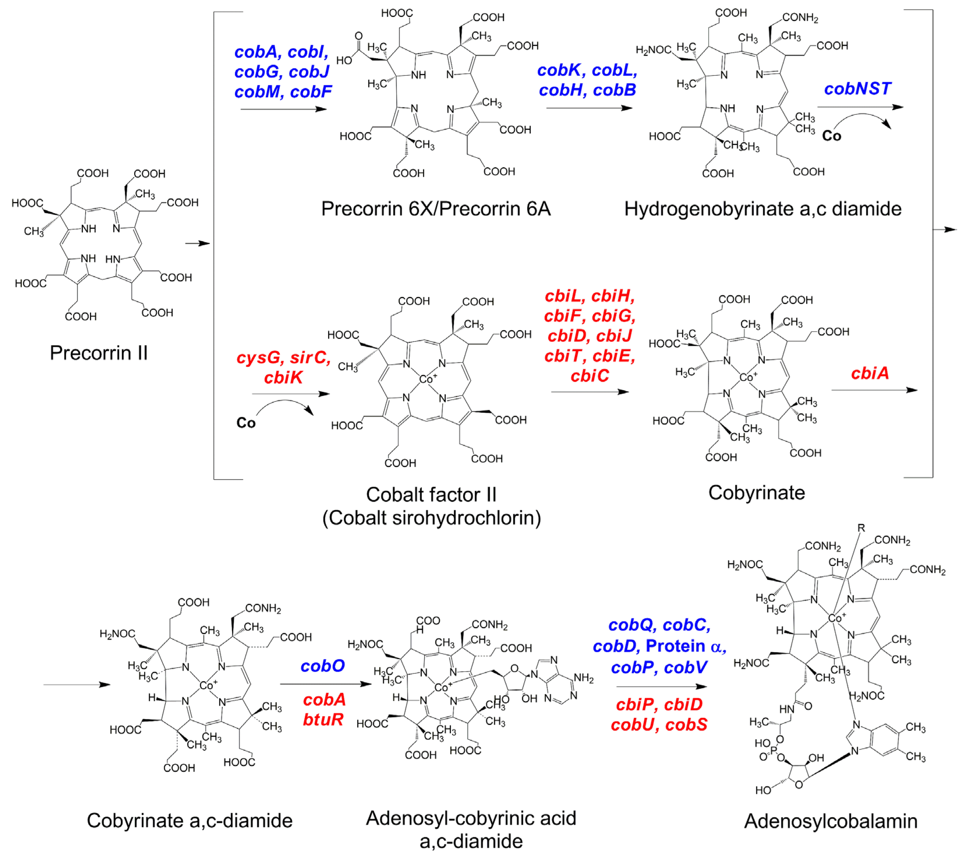 Bioengineering 09 00365 g002