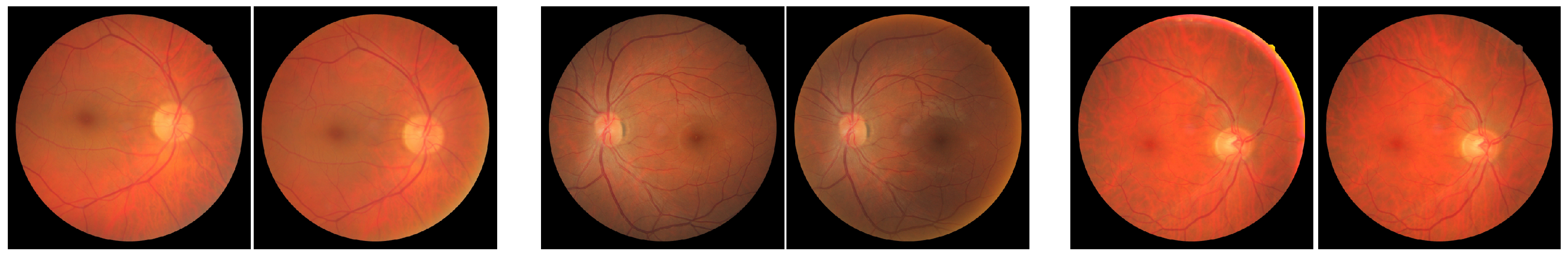 Bioengineering 09 00369 g004