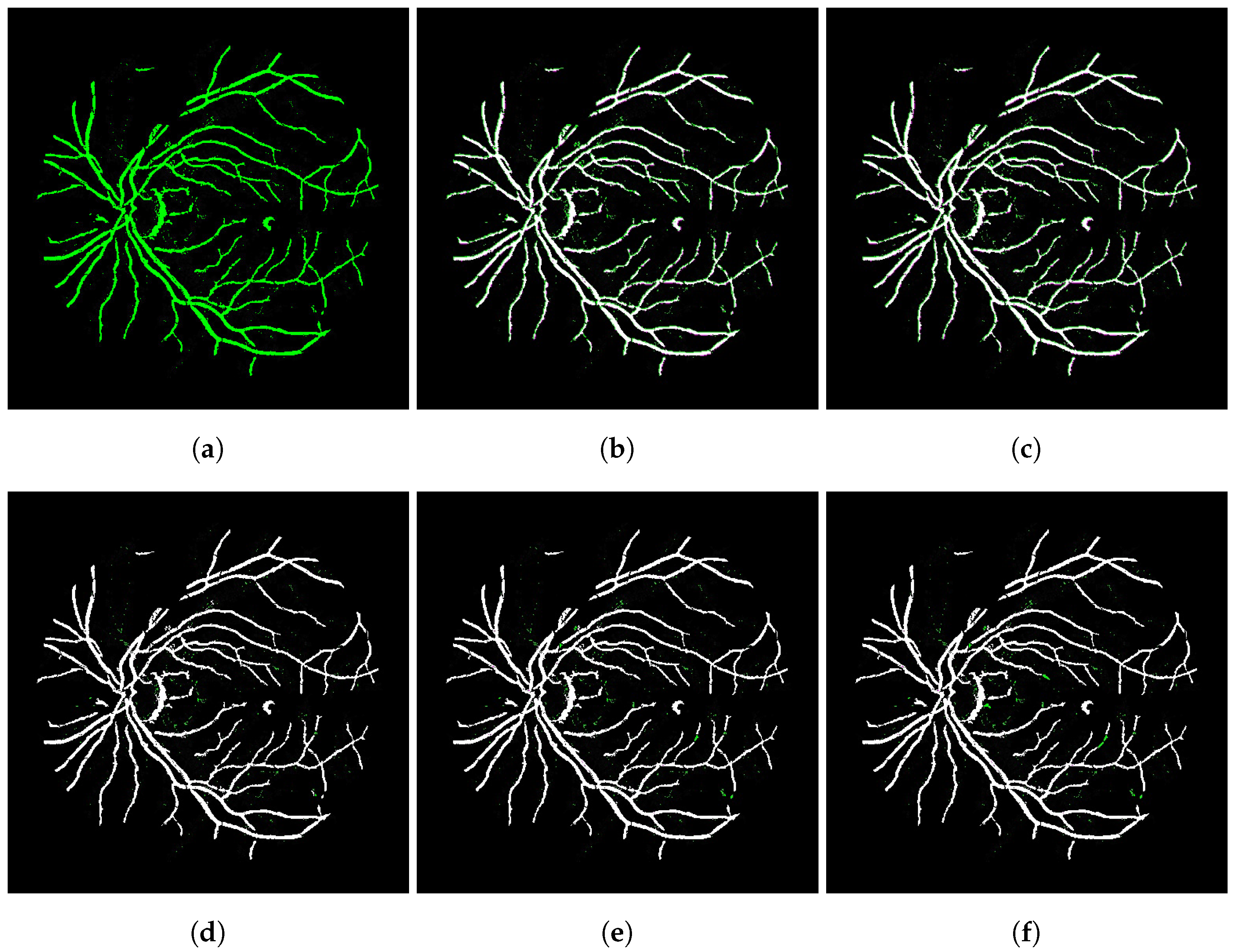 Bioengineering 09 00369 g005