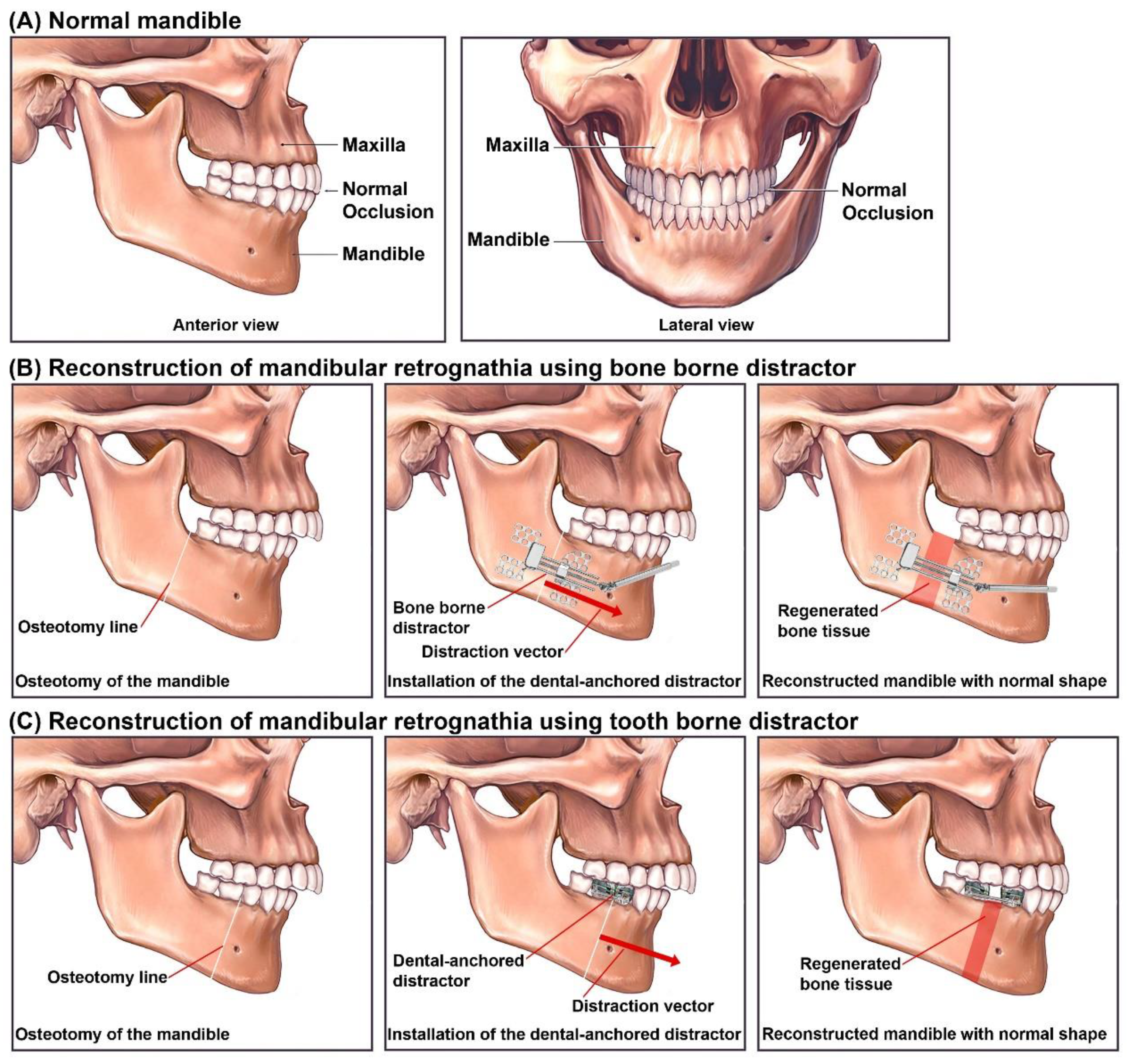 Bioengineering 09 00371 g004