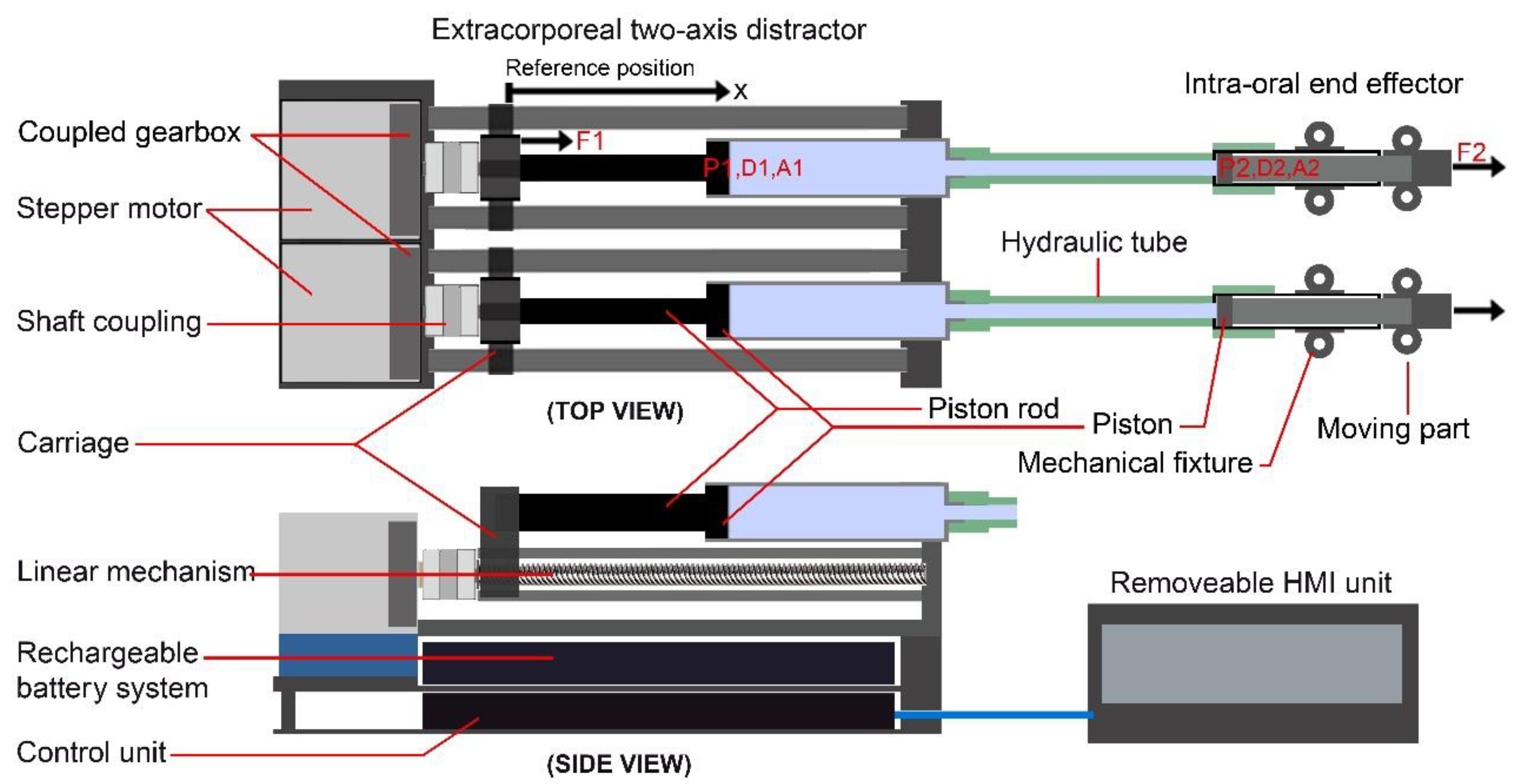 Bioengineering 09 00371 g006