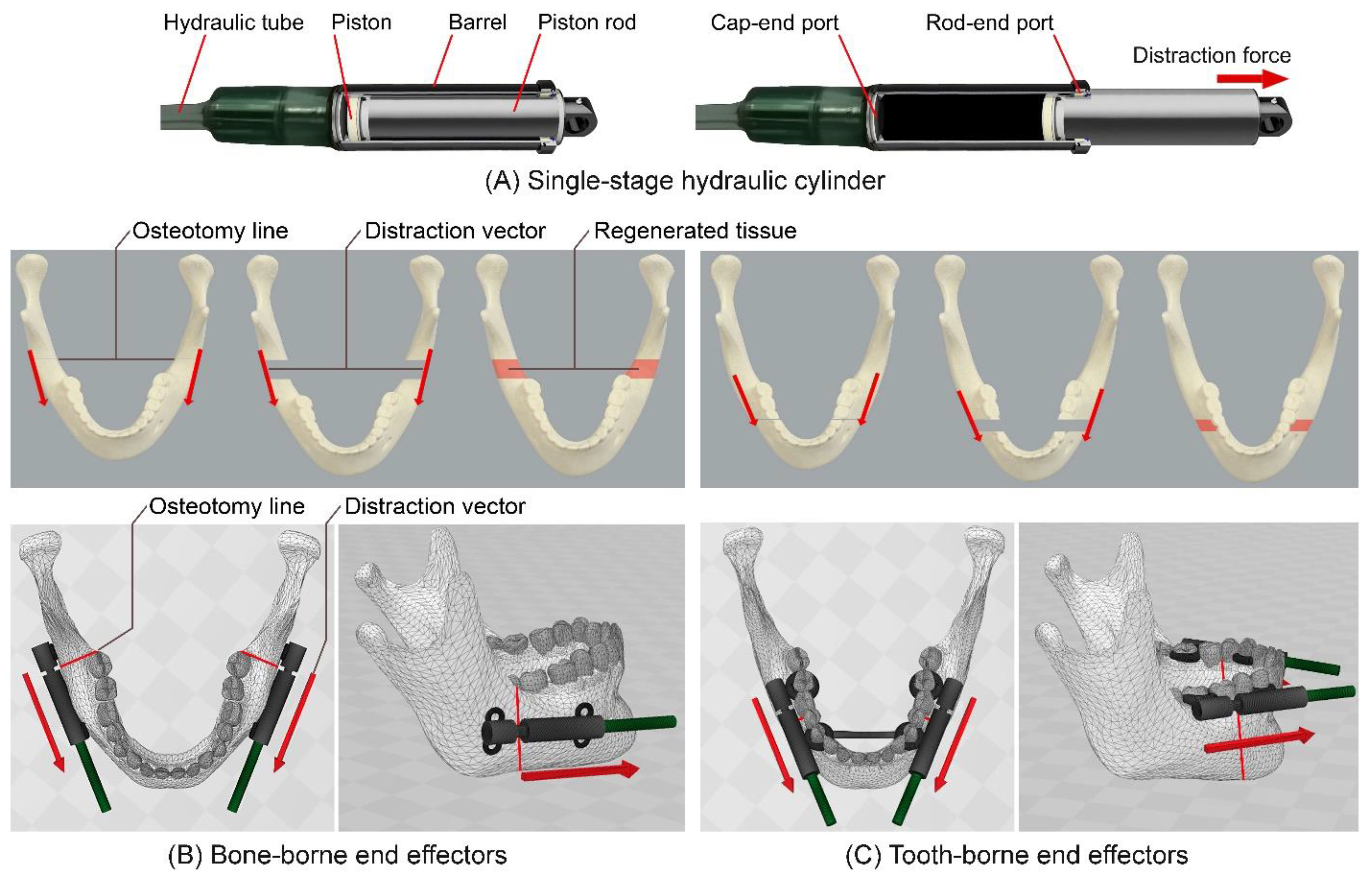 Bioengineering 09 00371 g007