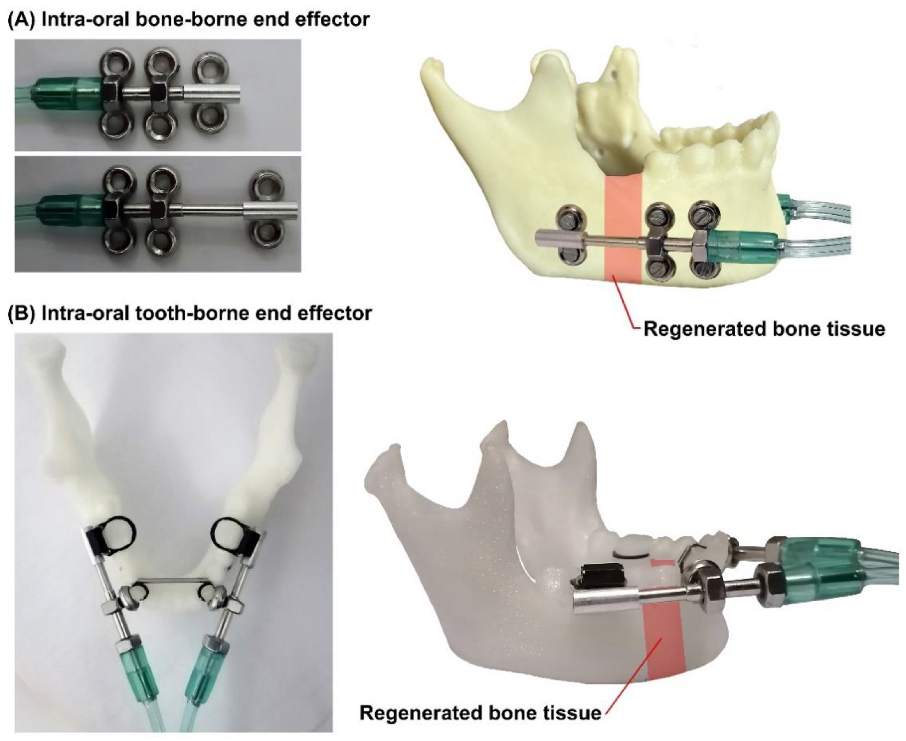 Bioengineering 09 00371 g013