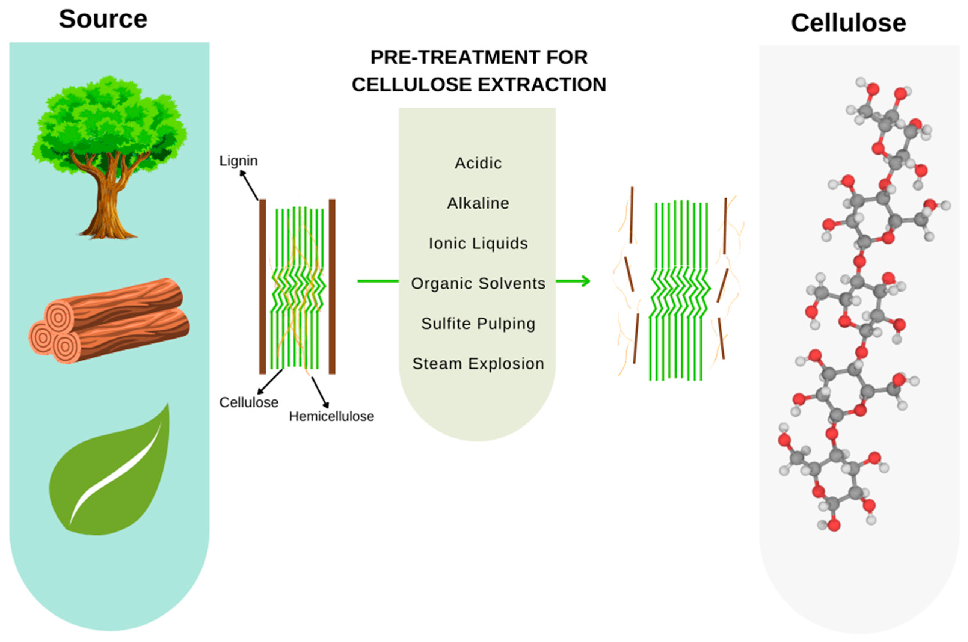 Bioengineering 09 00376 g006