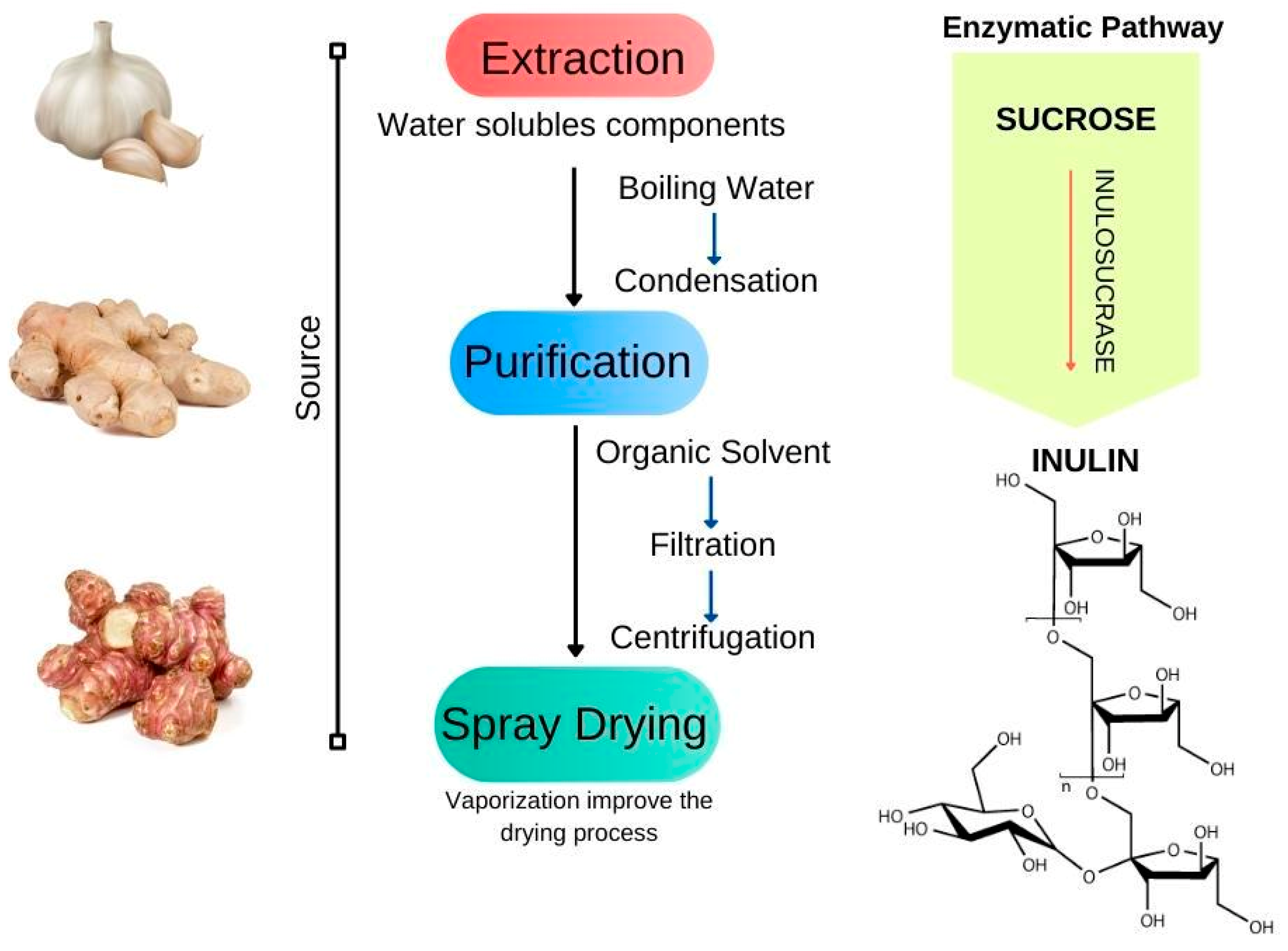 Bioengineering 09 00376 g009