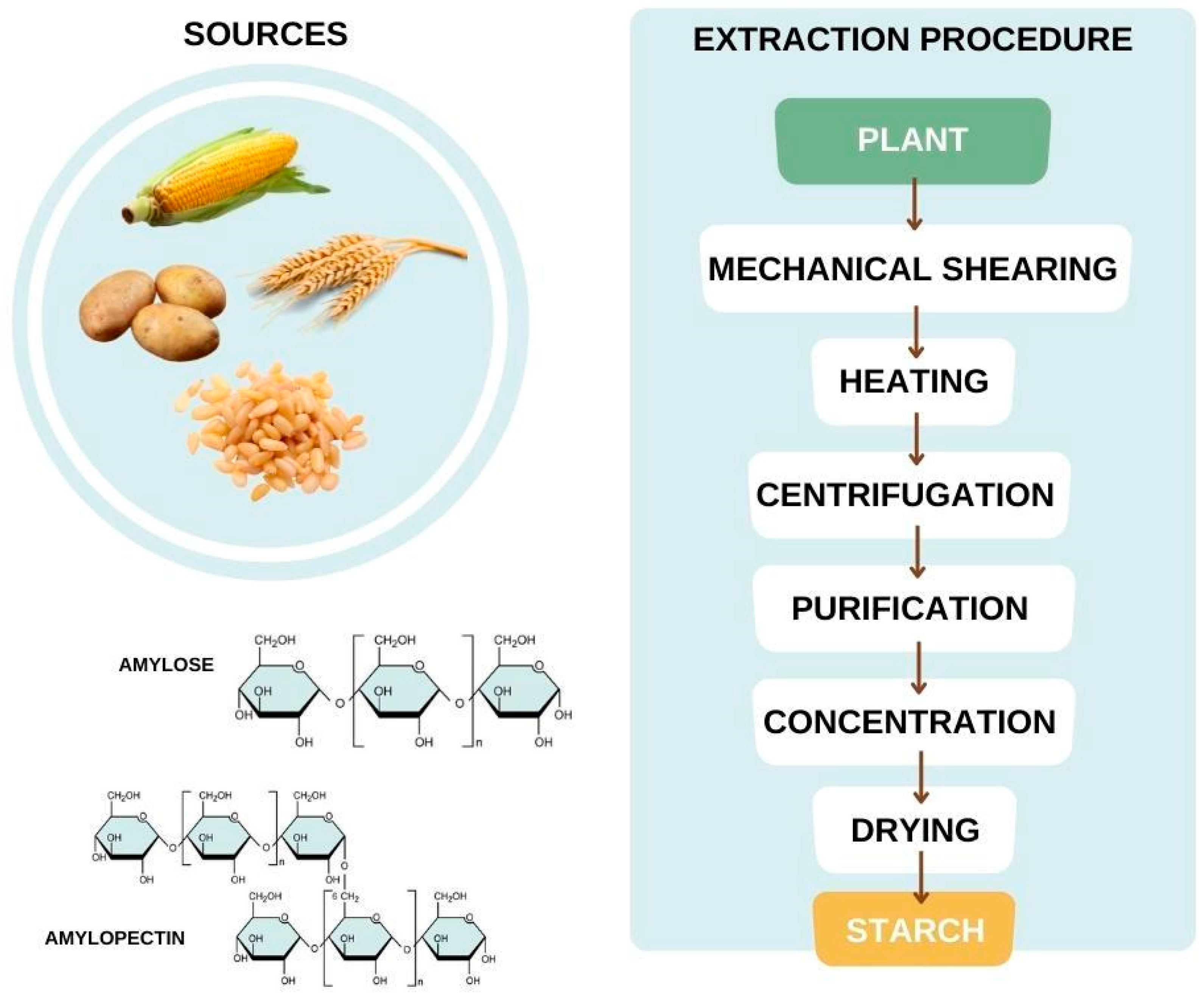 Bioengineering 09 00376 g011