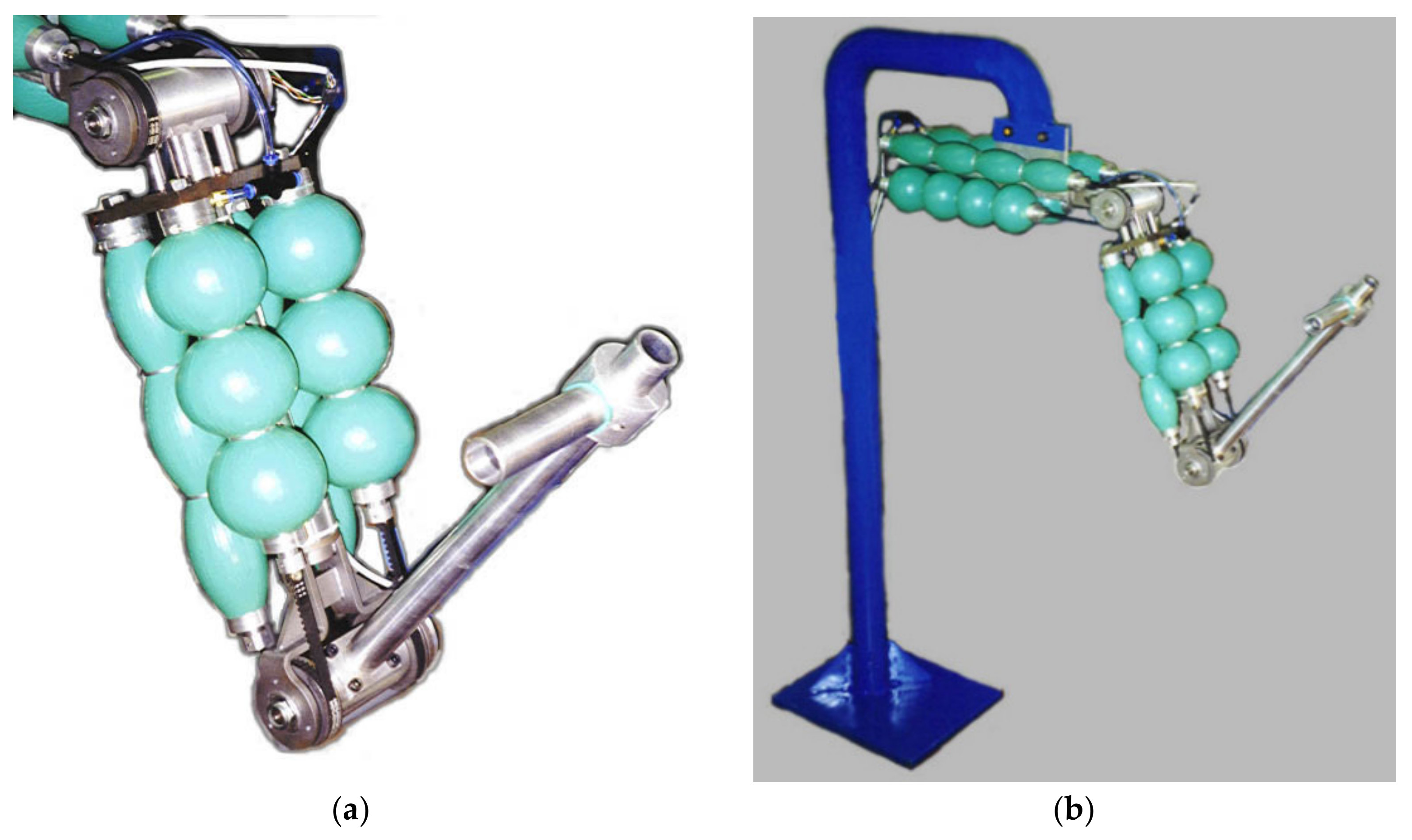 Bioengineering 09 00377 g006