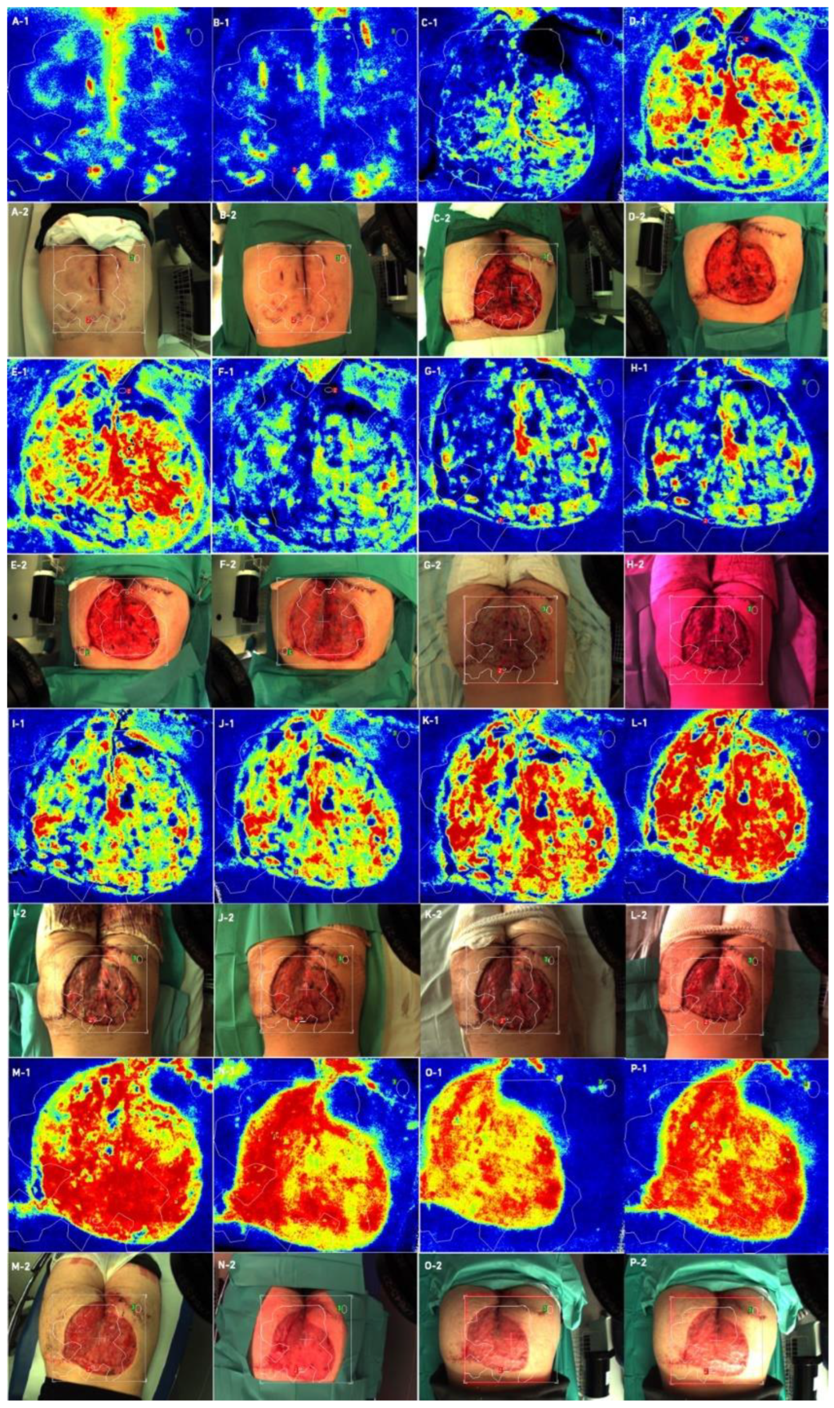 Bioengineering 09 00389 g005