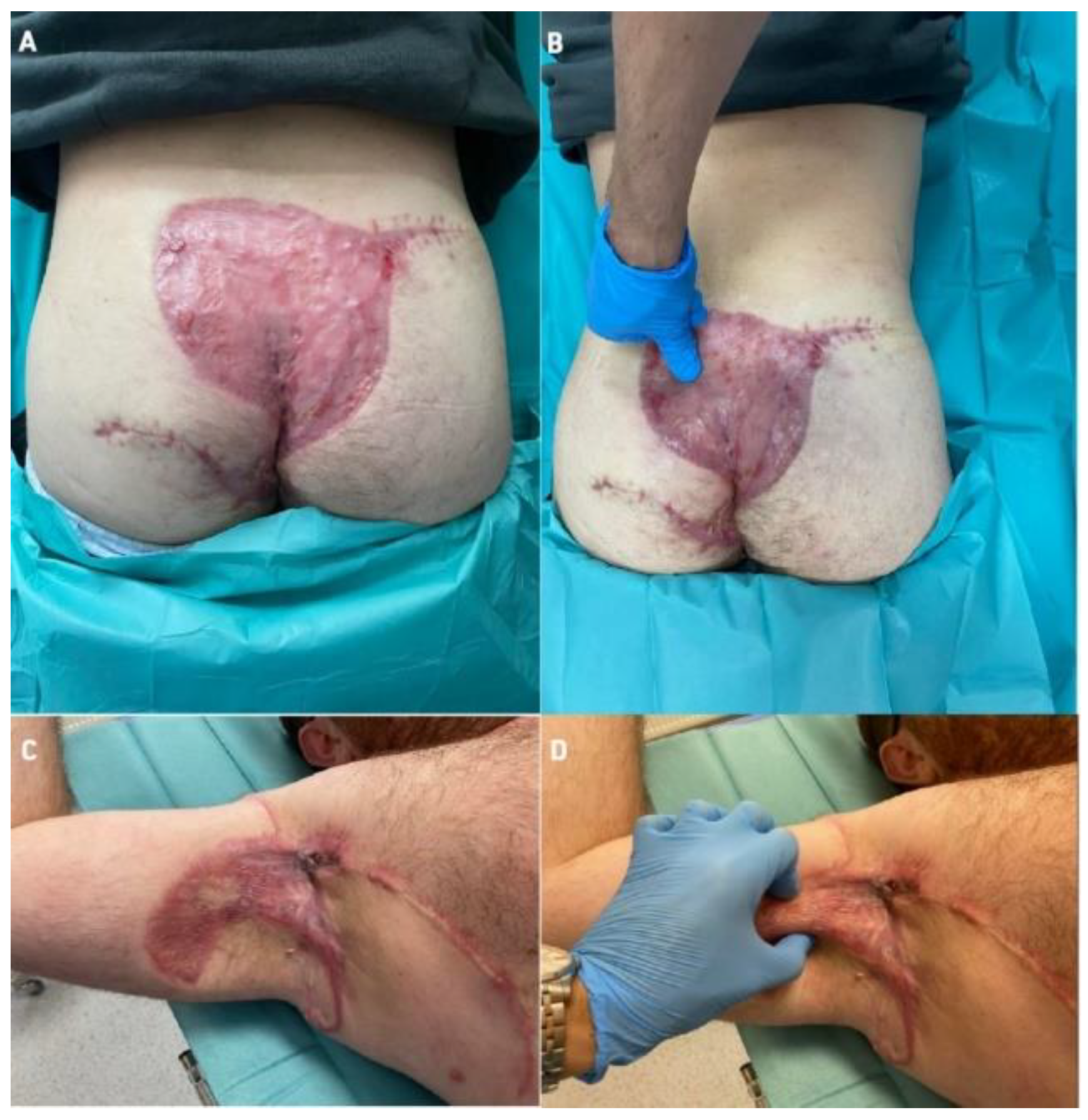 Bioengineering 09 00389 g009