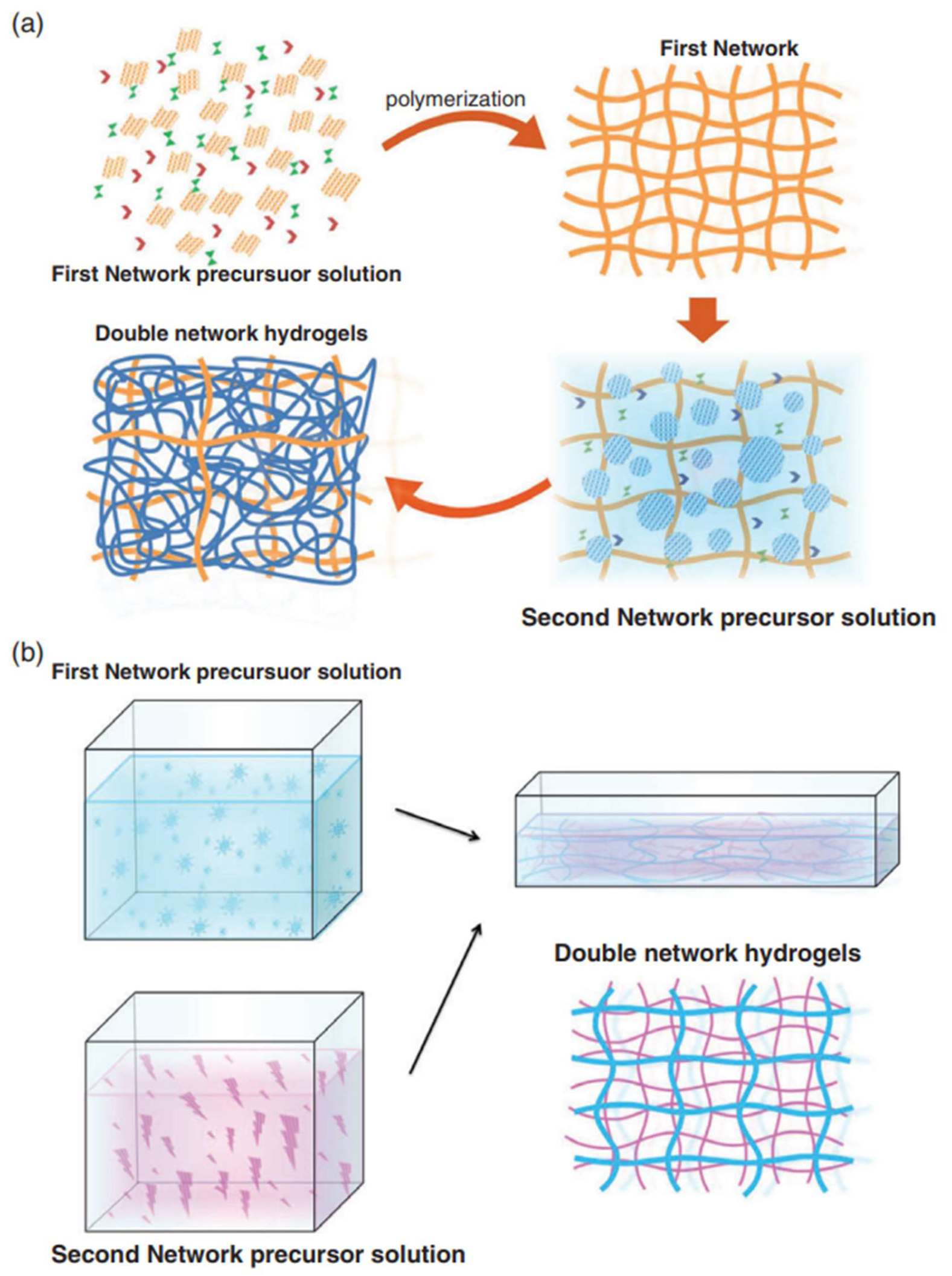 Bioengineering 09 00390 g002