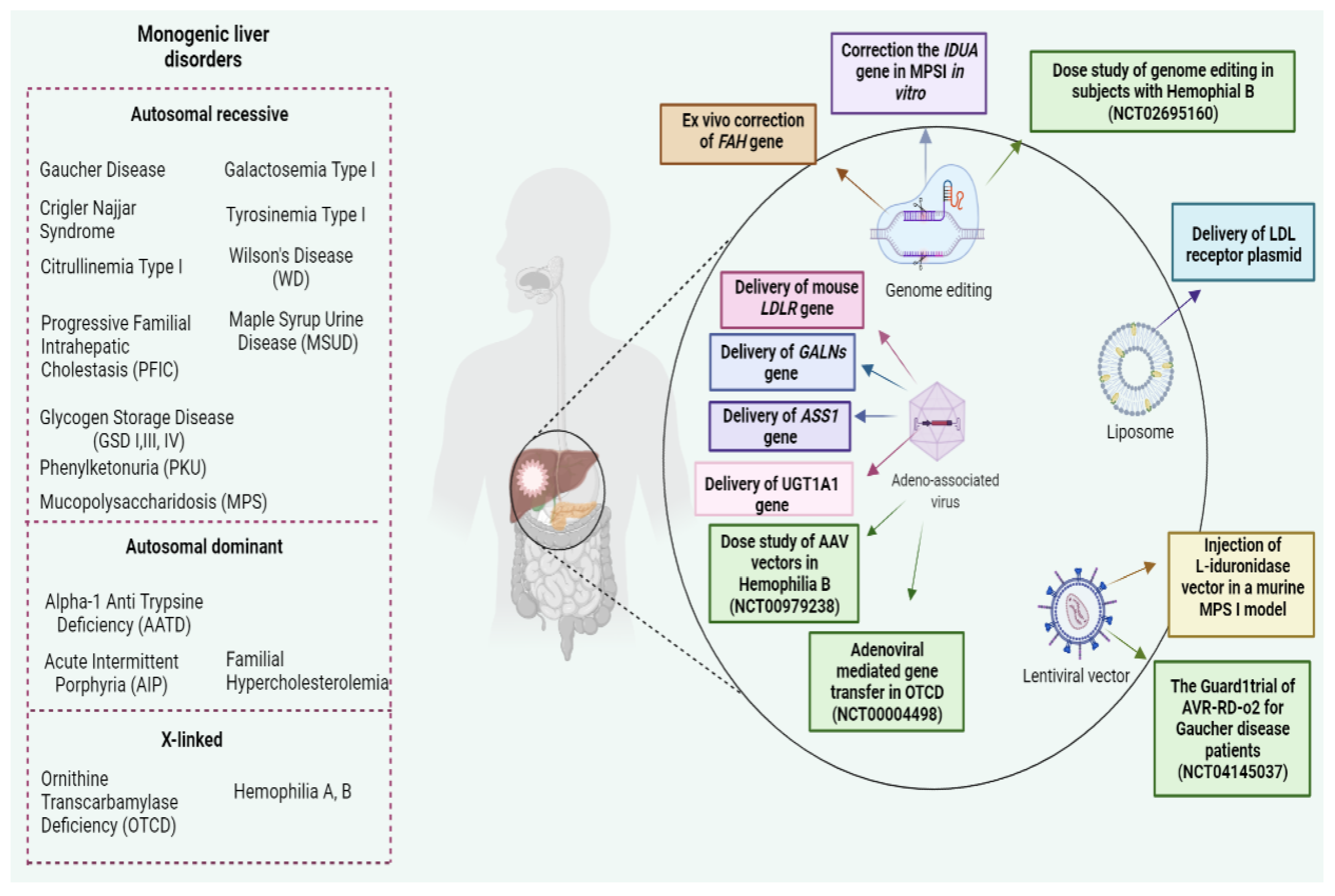 Bioengineering 09 00392 g001 Bioengineering 09 00392 g001