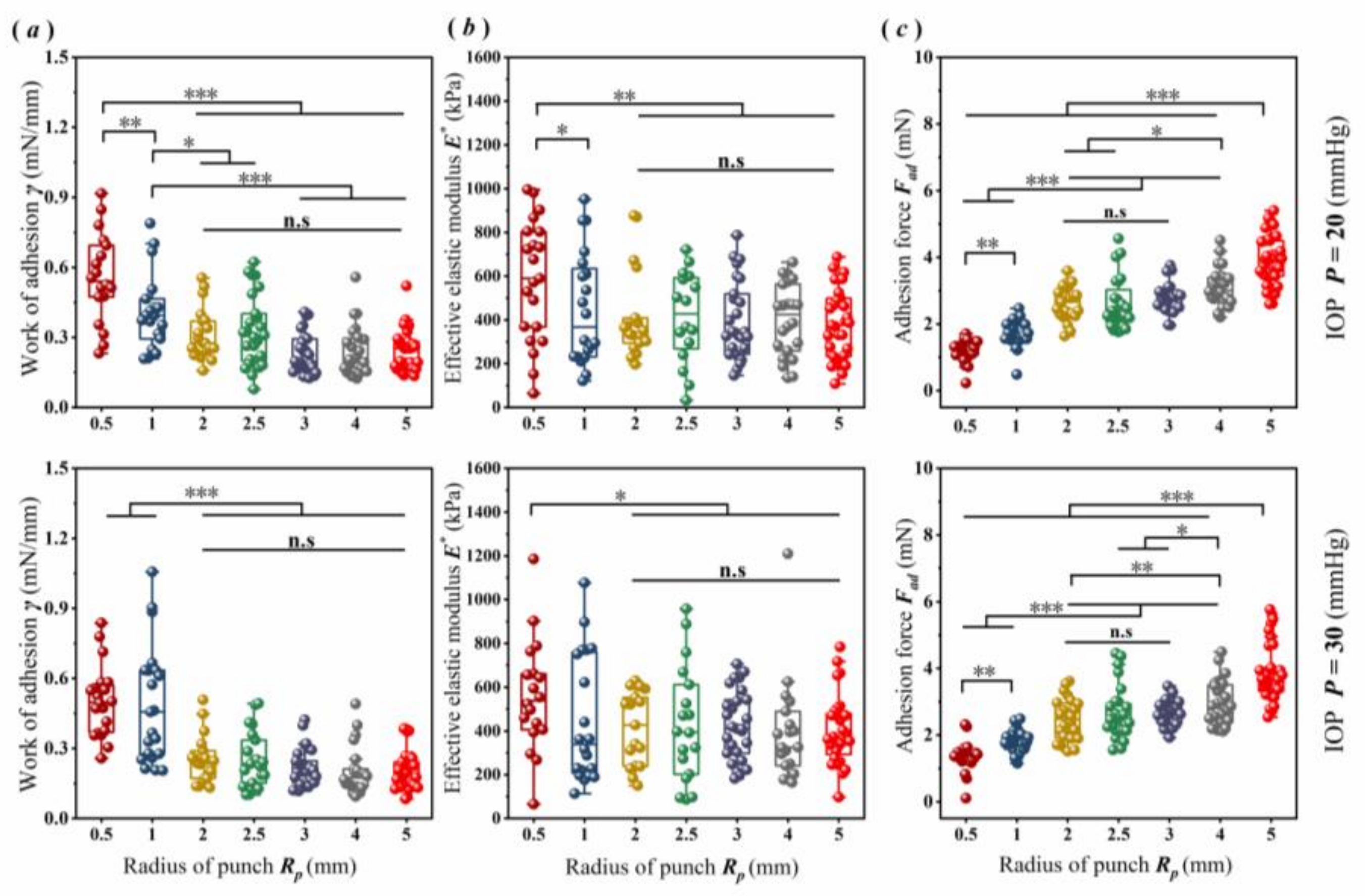 Bioengineering 09 00394 g003