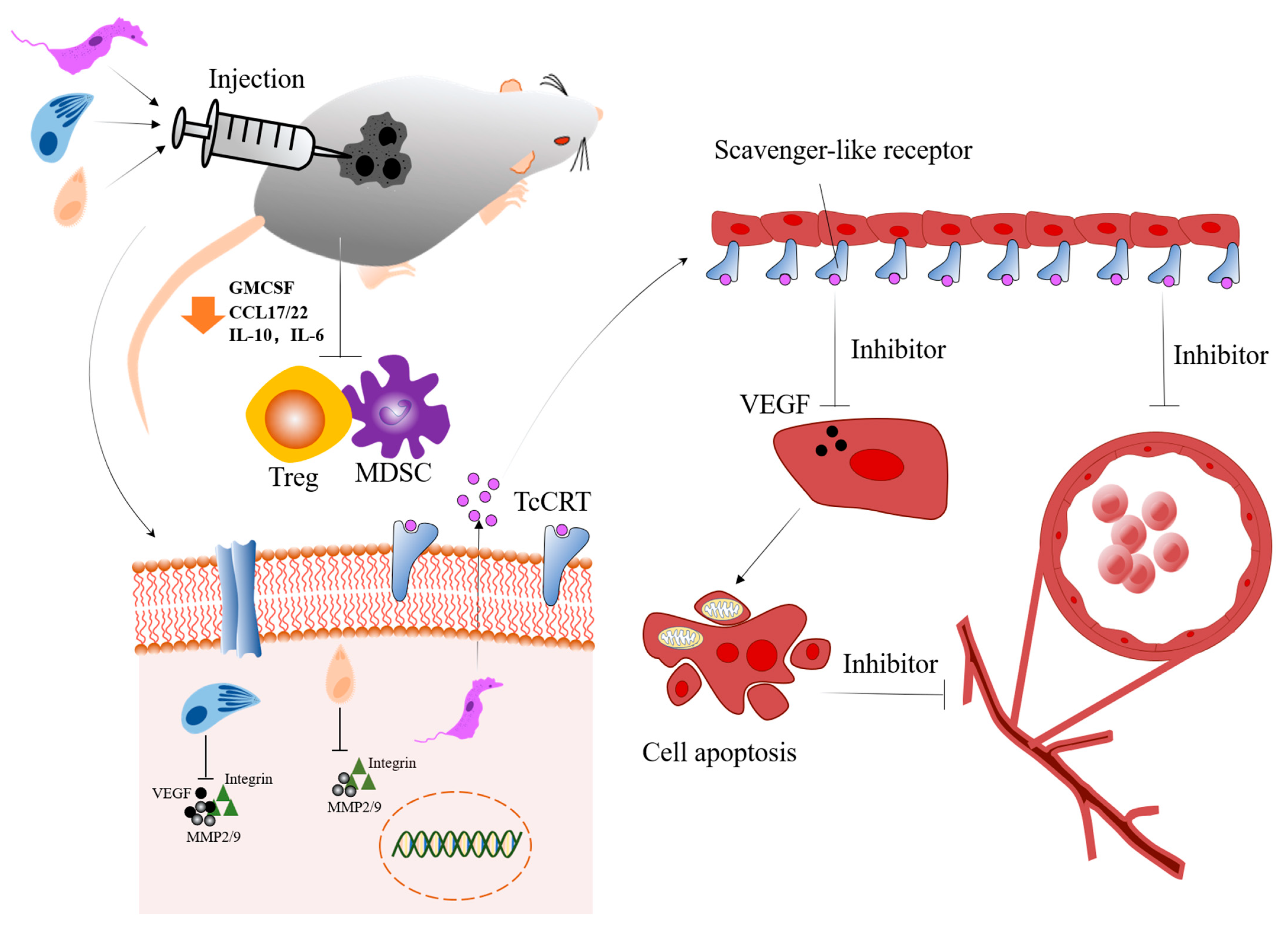 Bioengineering 09 00395 g002