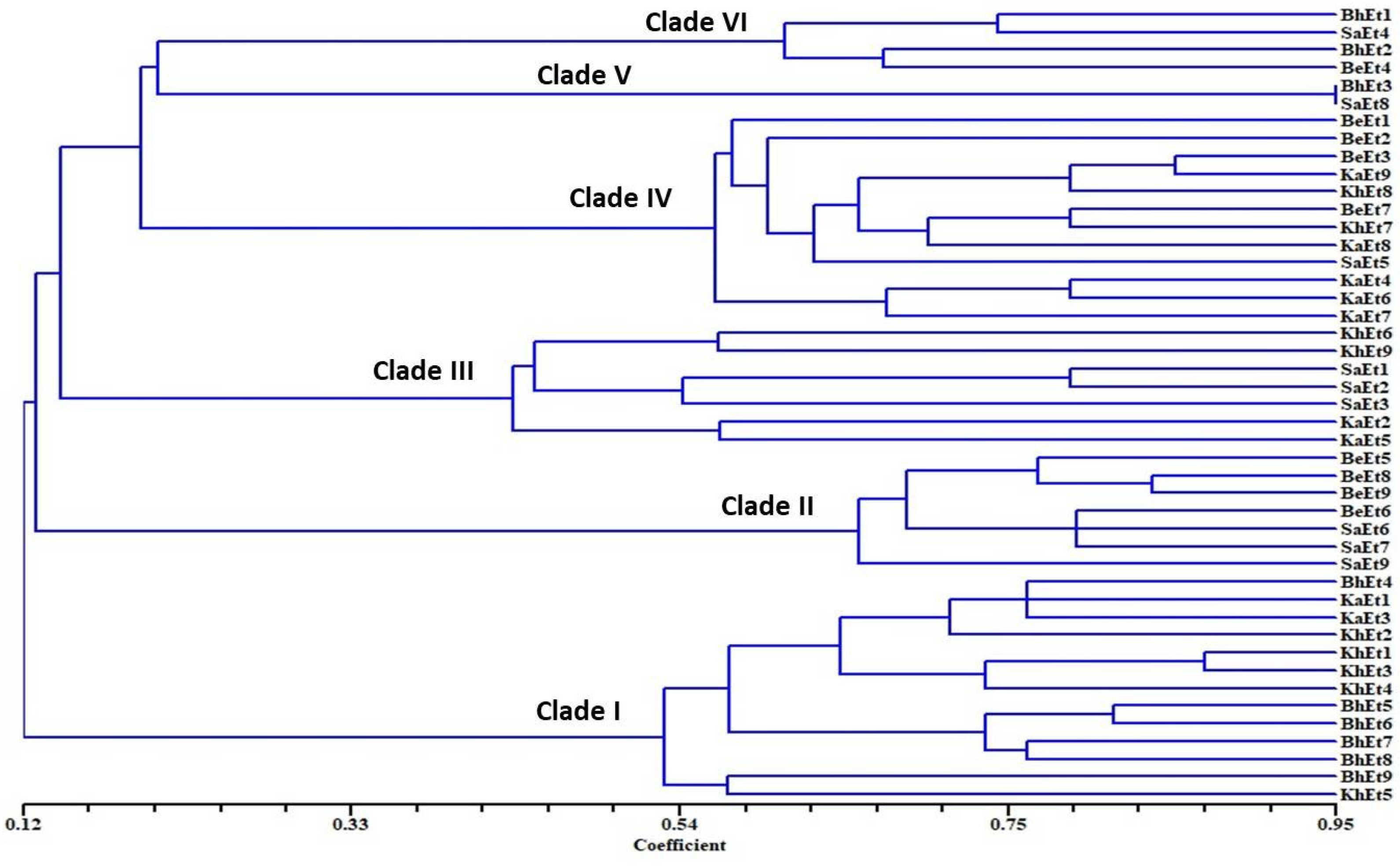 Bioengineering 09 00403 g004