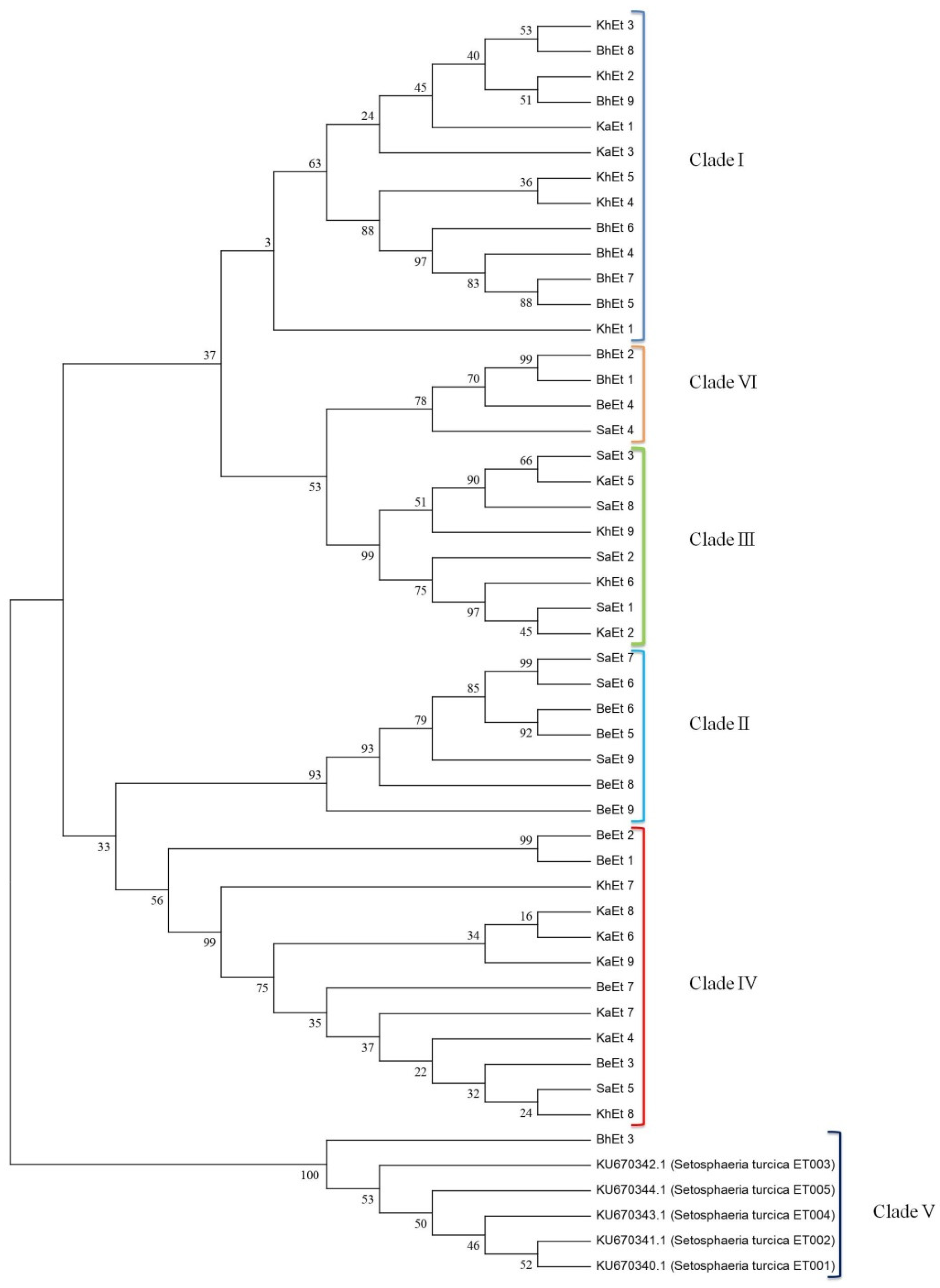 Bioengineering 09 00403 g006