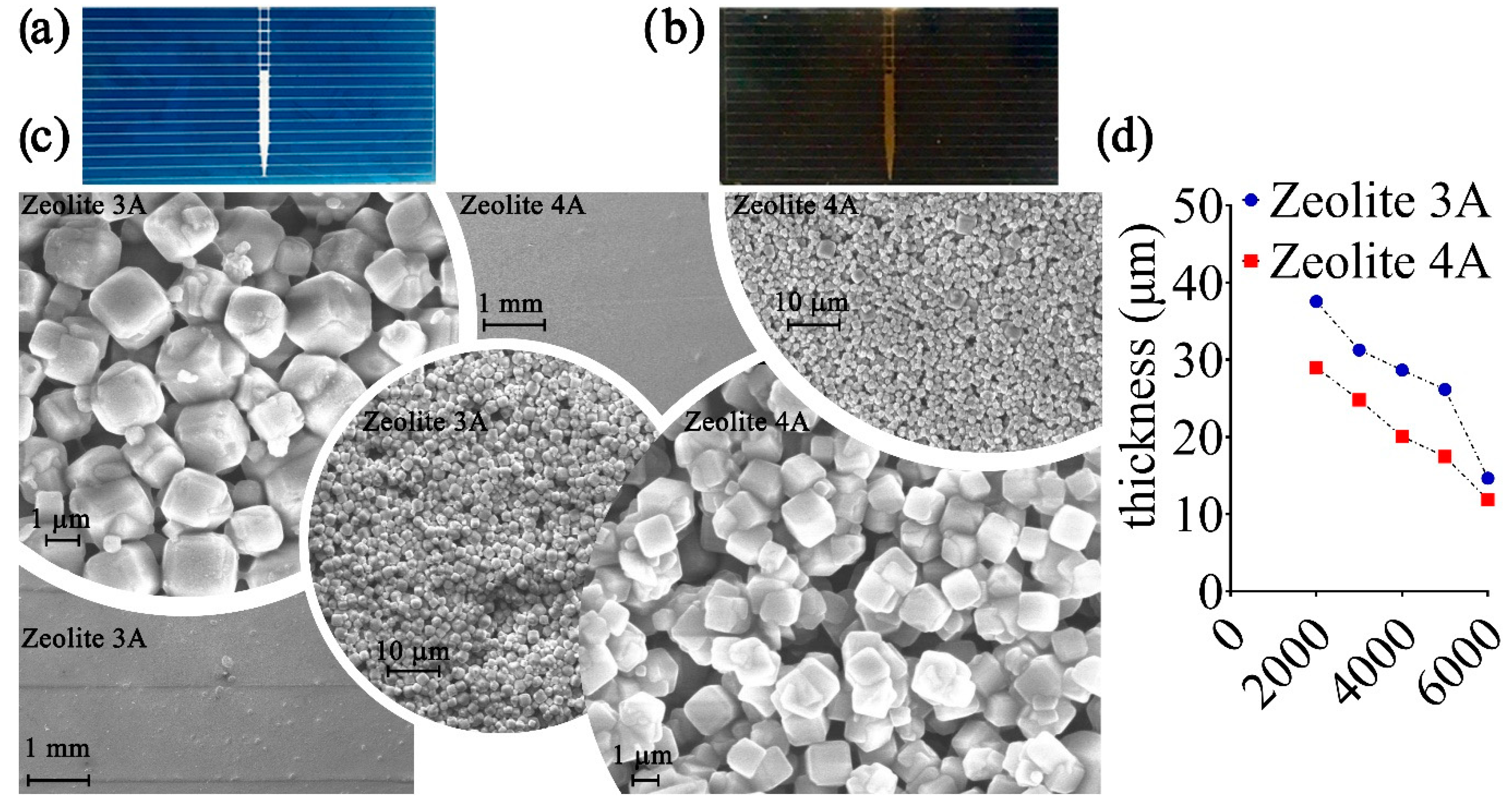 Bioengineering 09 00404 g002