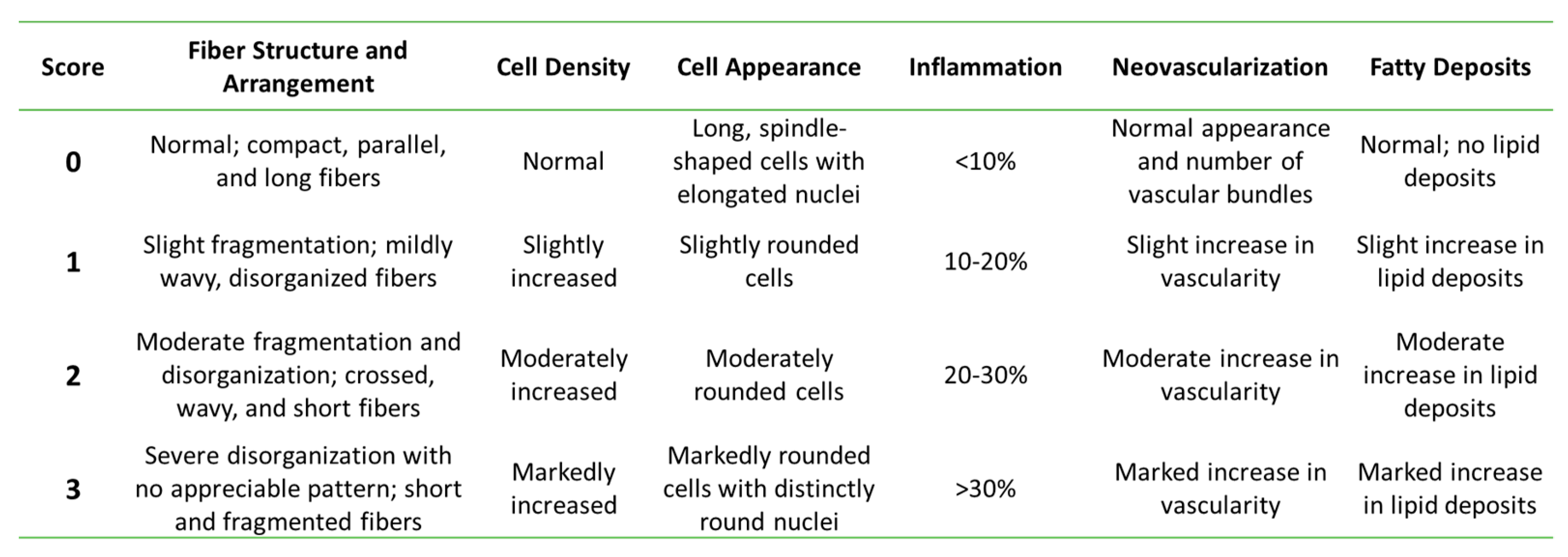 Bioengineering 09 00407 g001