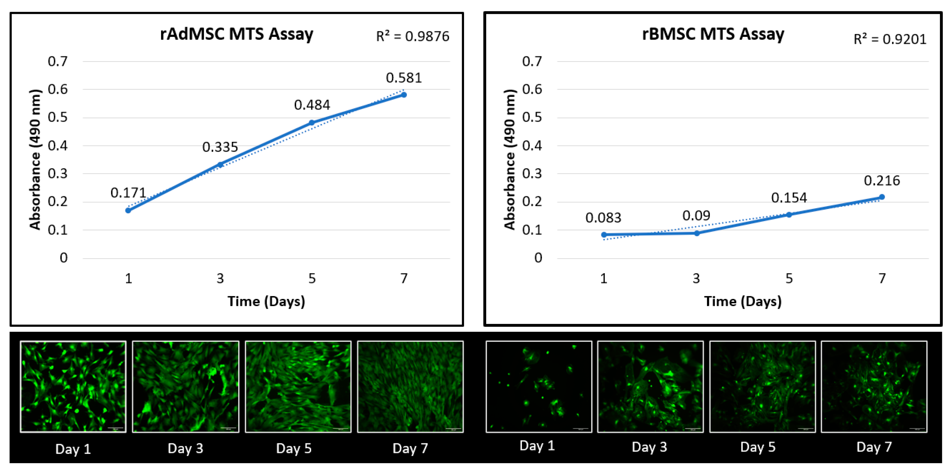 Bioengineering 09 00407 g002