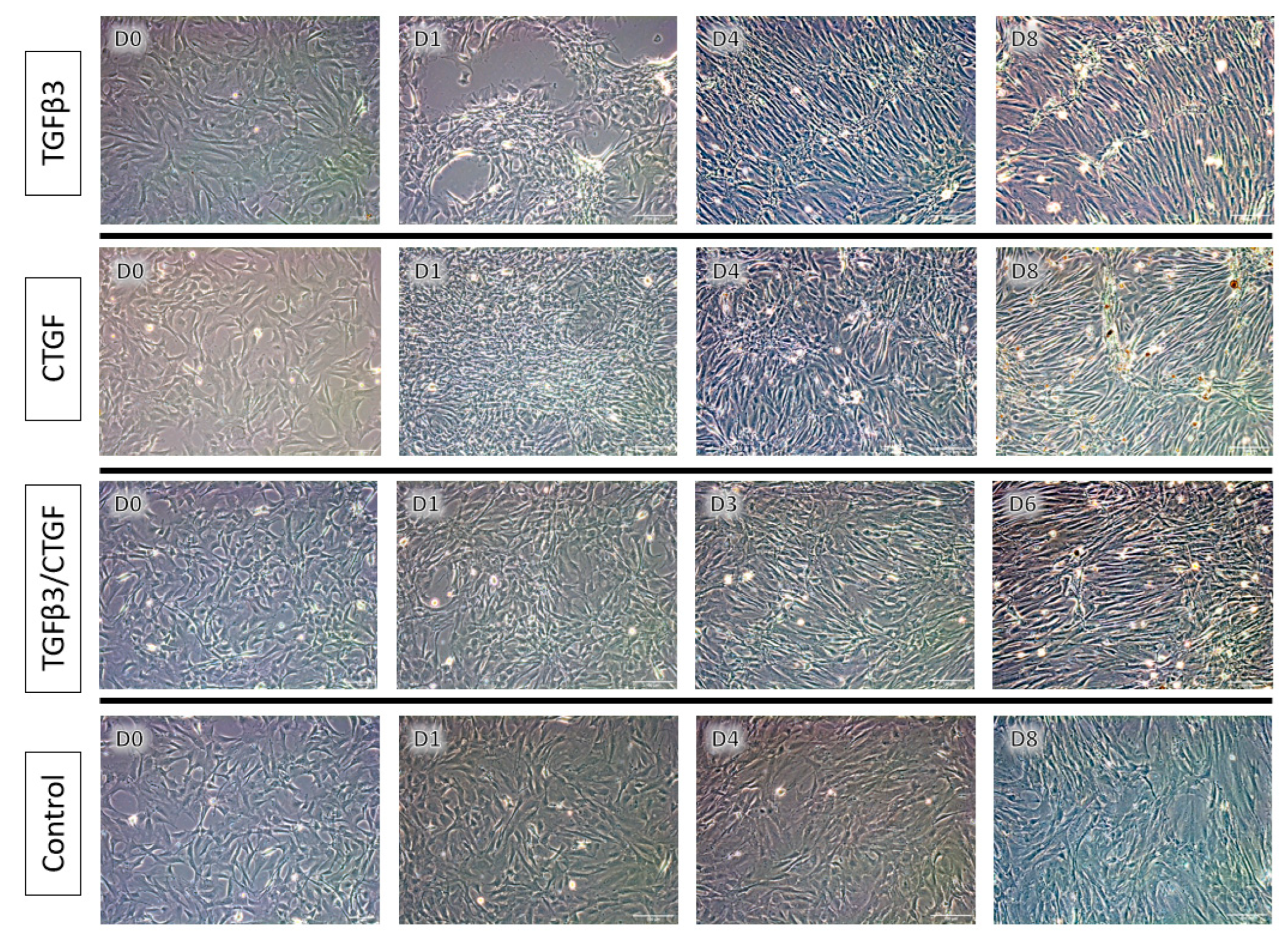 Bioengineering 09 00407 g003