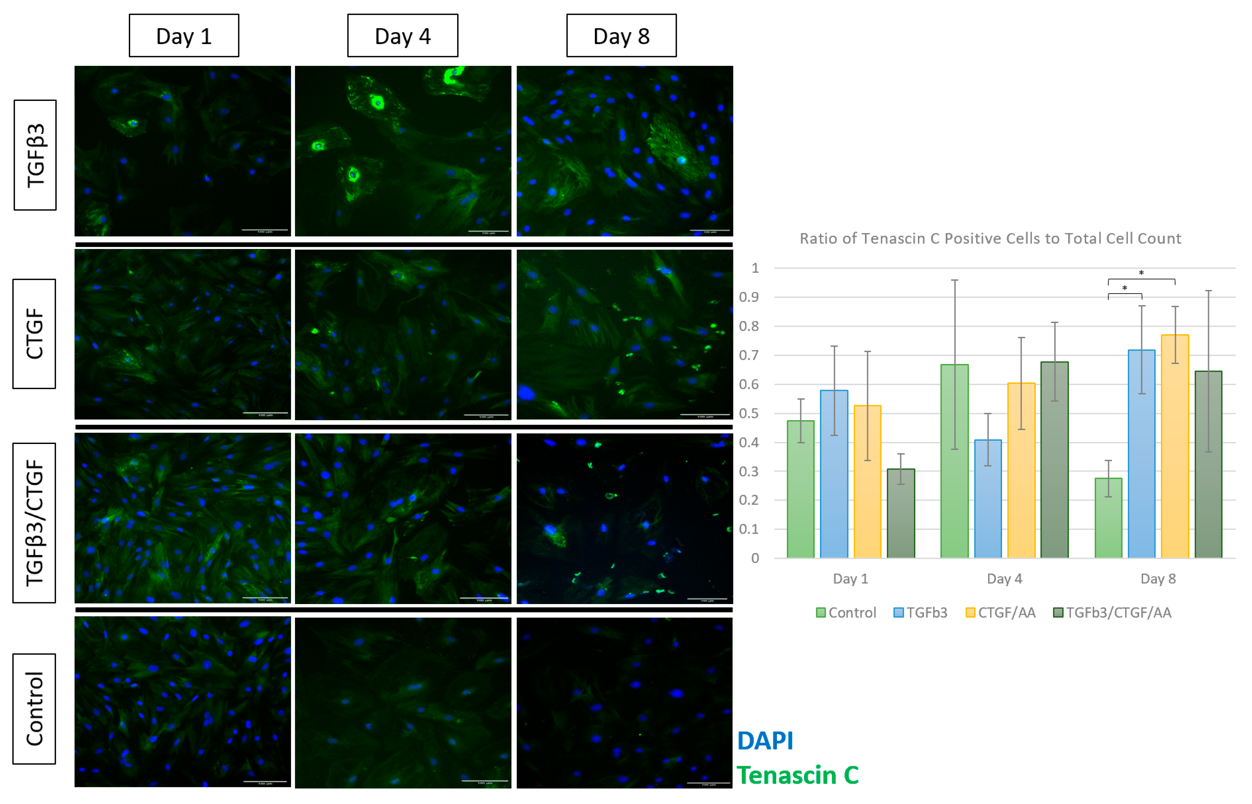 Bioengineering 09 00407 g005