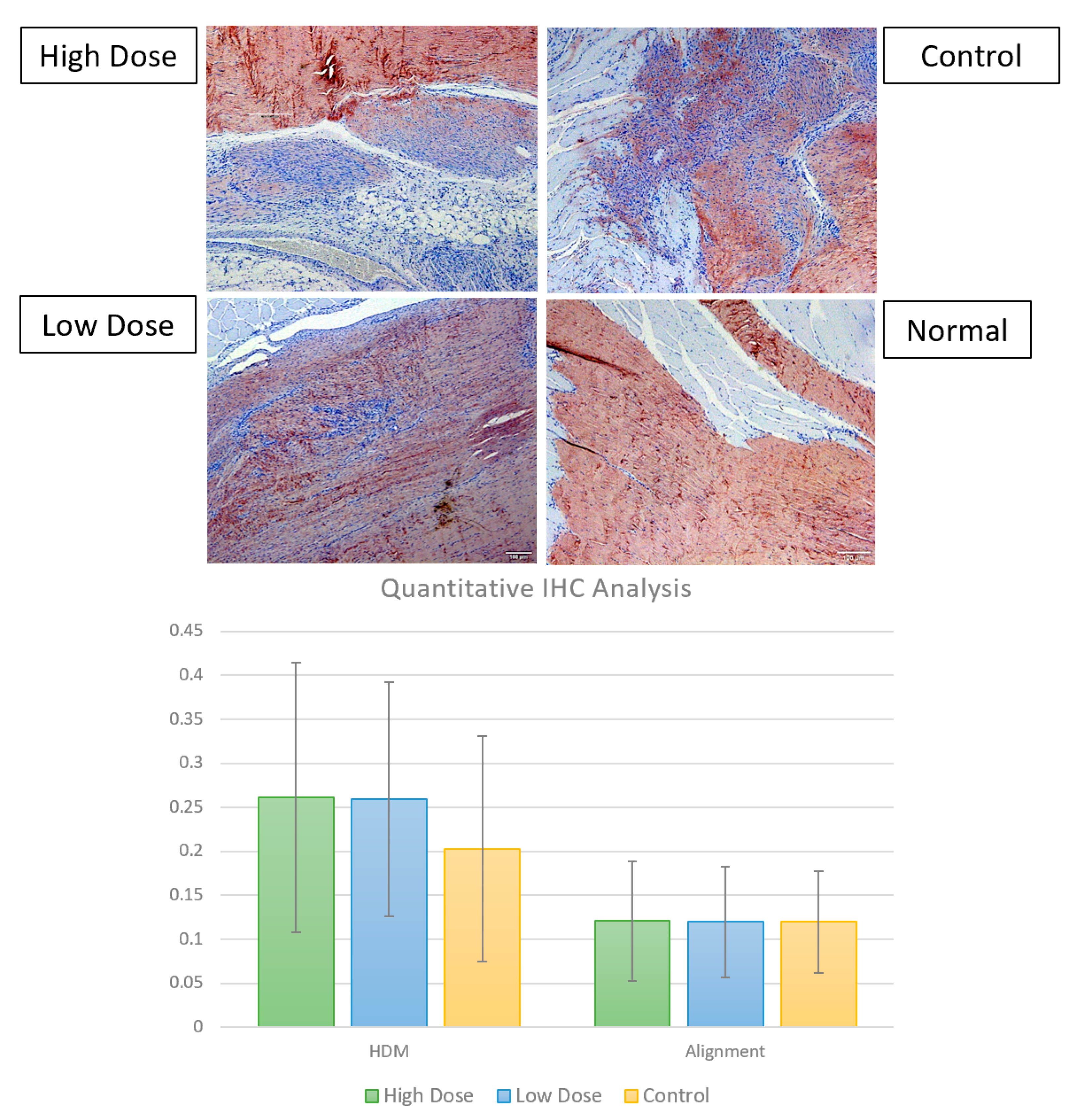Bioengineering 09 00407 g010