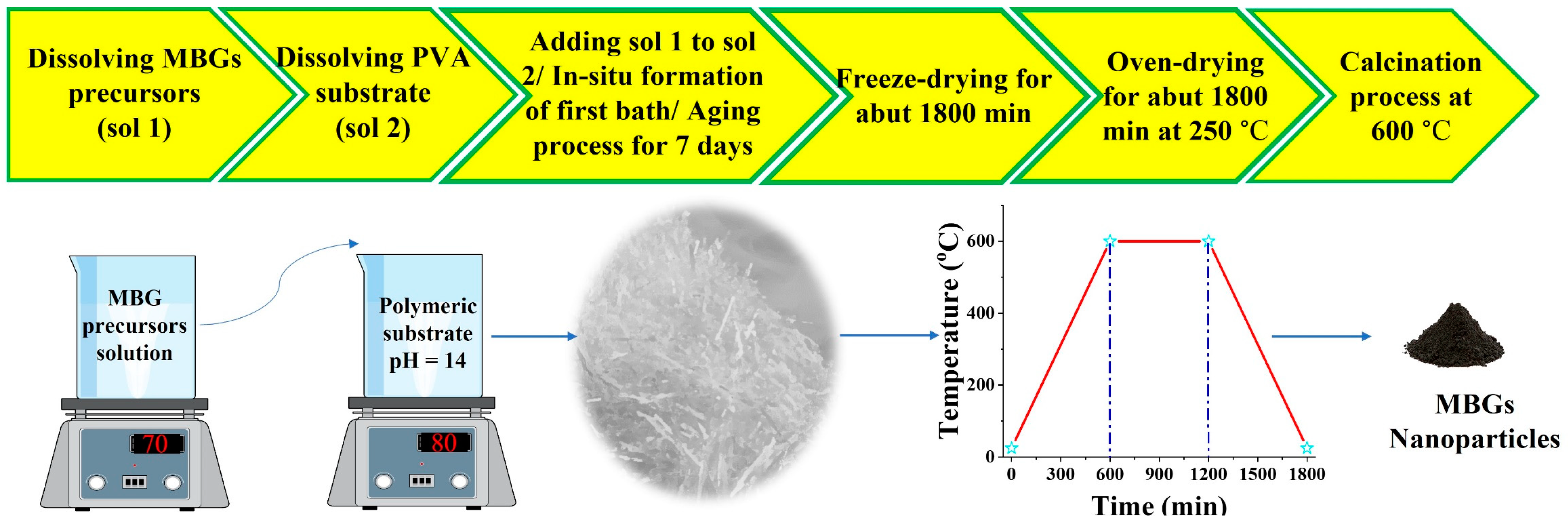Bioengineering 09 00442 g001