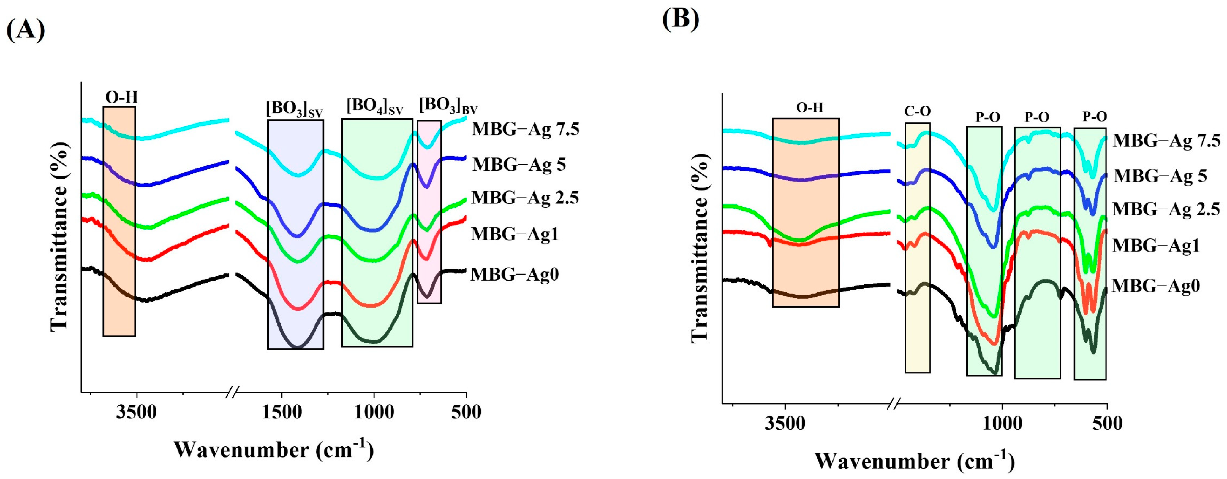 Bioengineering 09 00442 g005