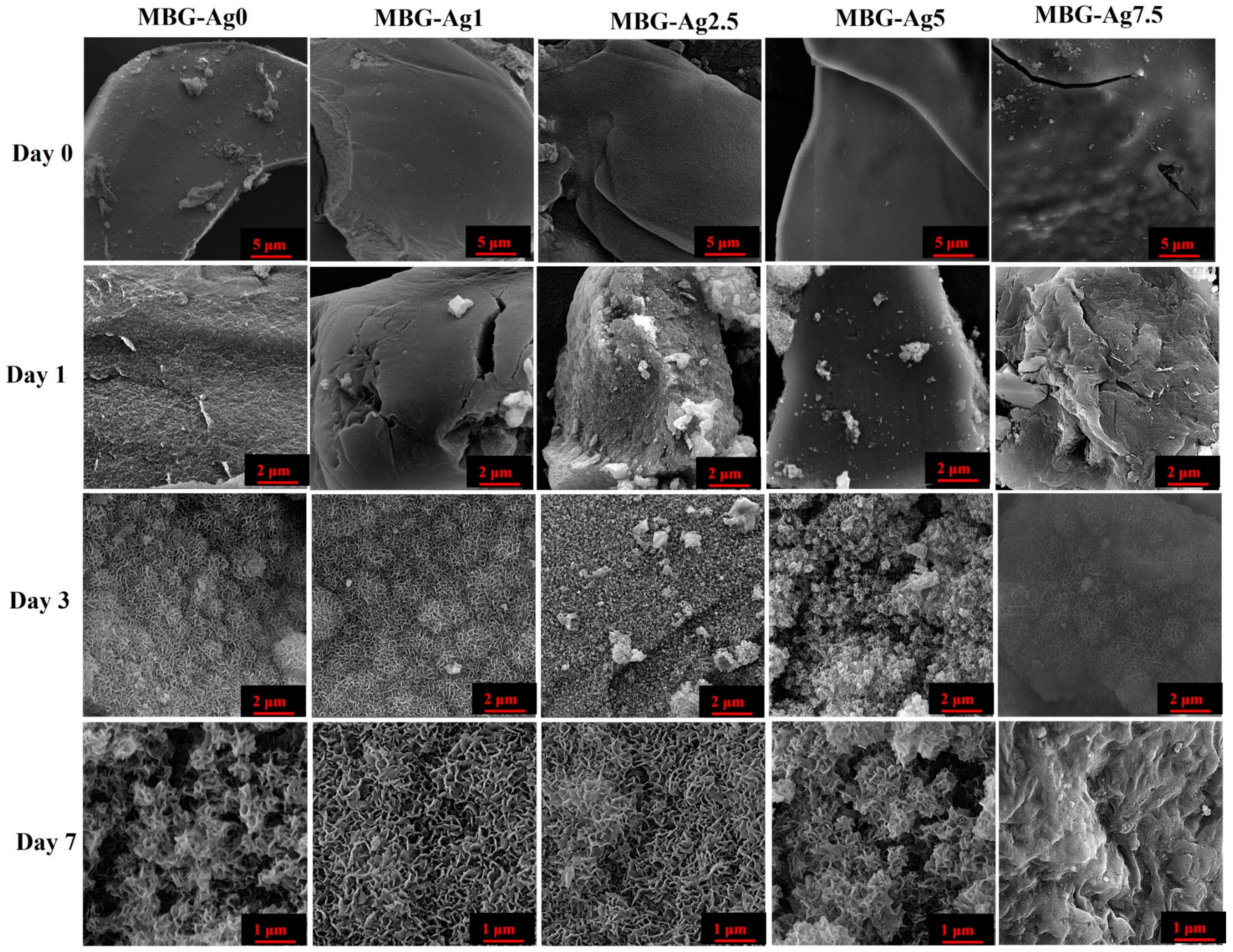 Bioengineering 09 00442 g006