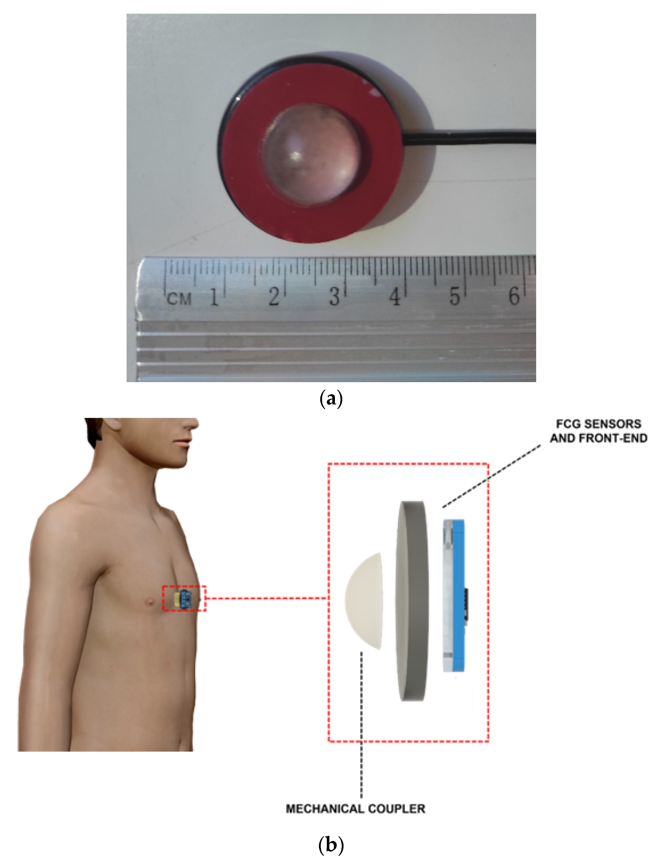 Bioengineering 09 00444 g001