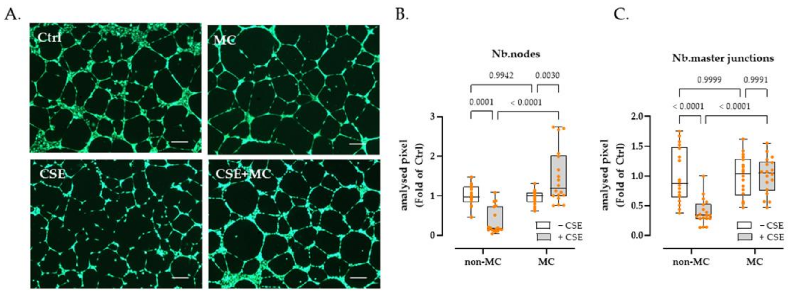 Bioengineering 09 00445 g002